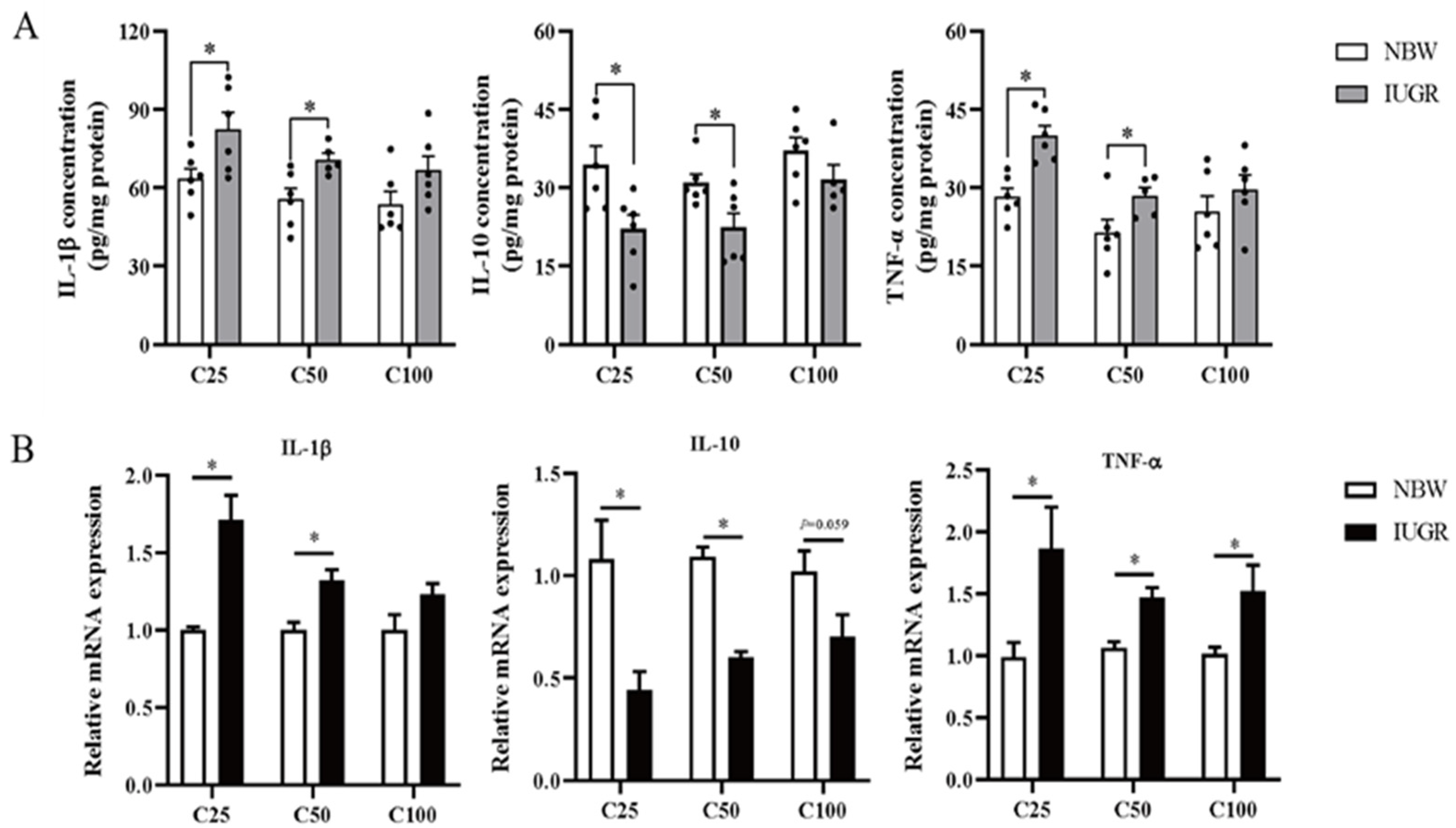 Antioxidants 13 00283 g004 Antioxidants 13 00283 g004