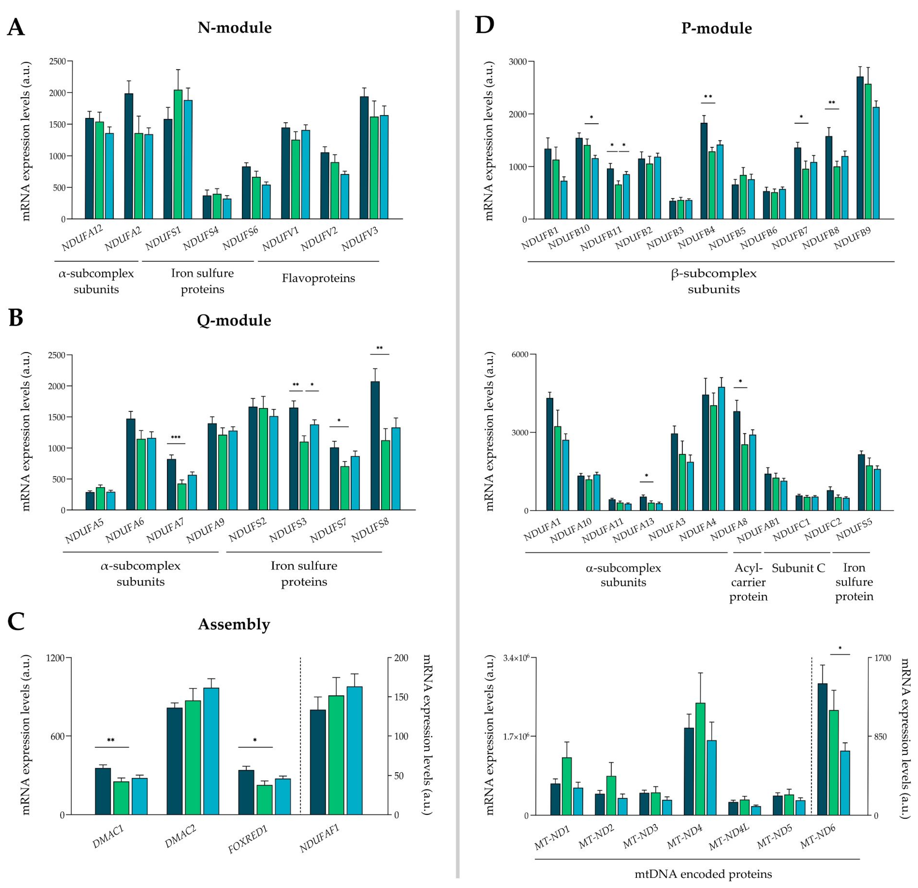 Antioxidants 13 00285 g002