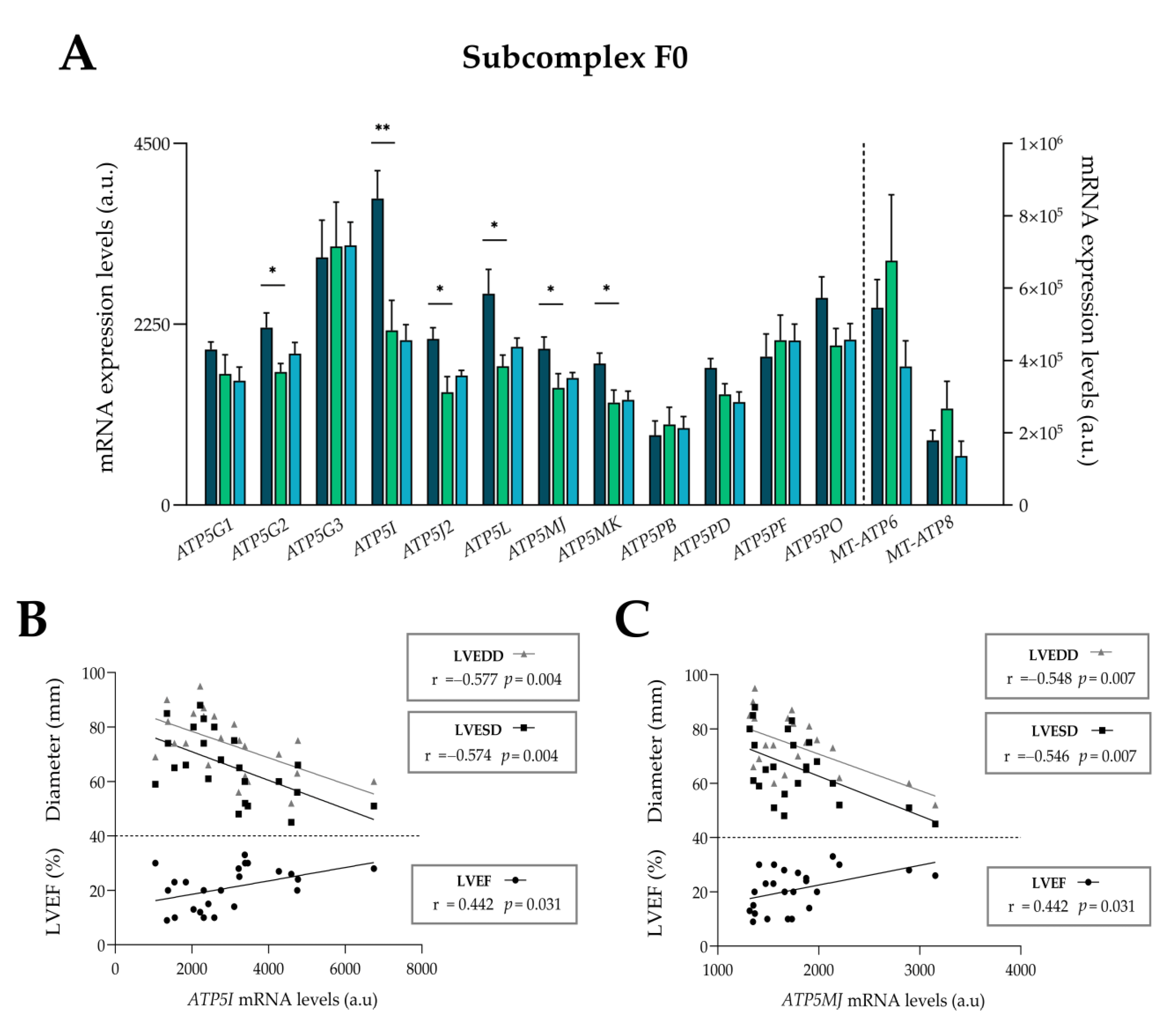 Antioxidants 13 00285 g004a
