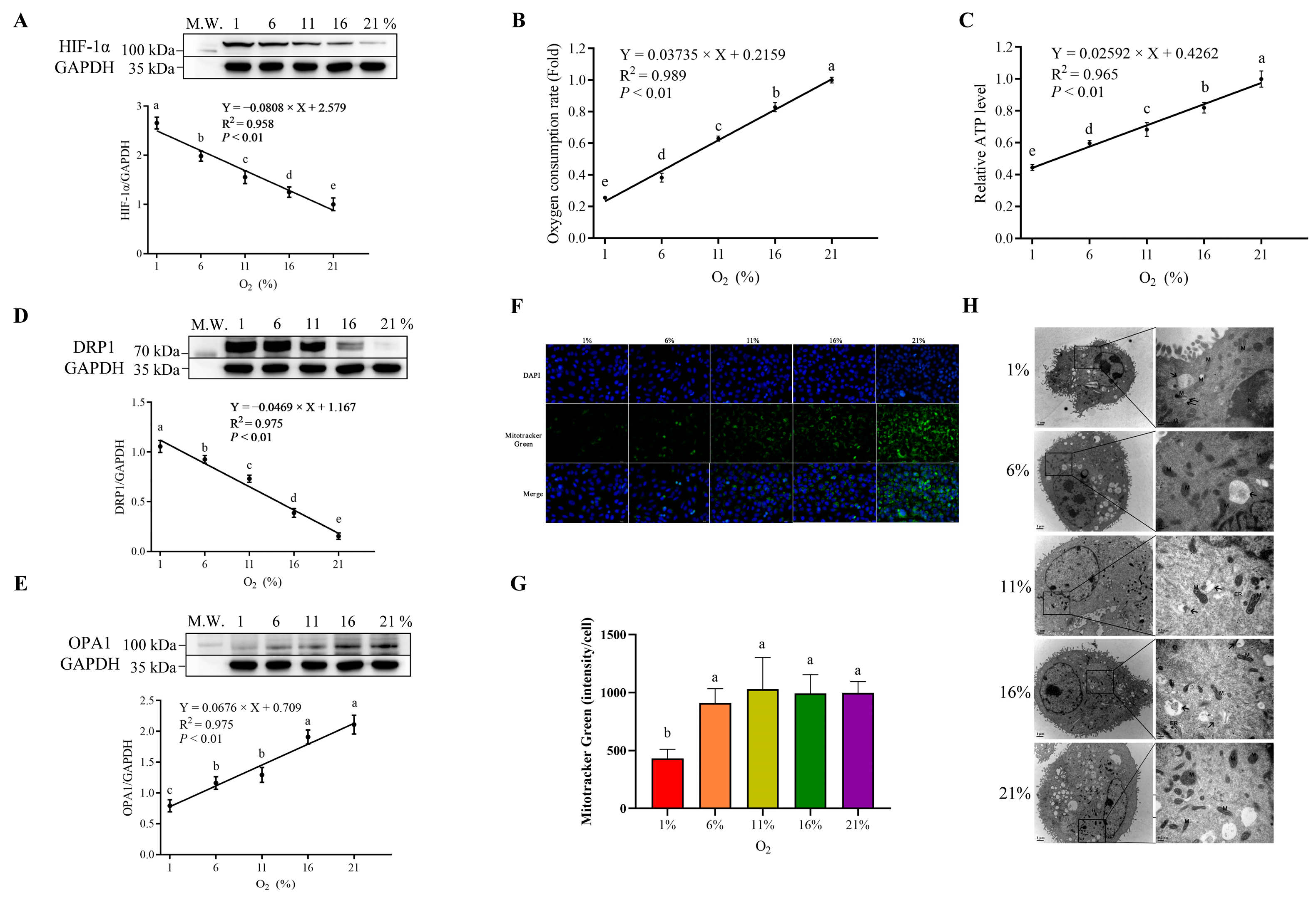 Antioxidants 13 00288 g002