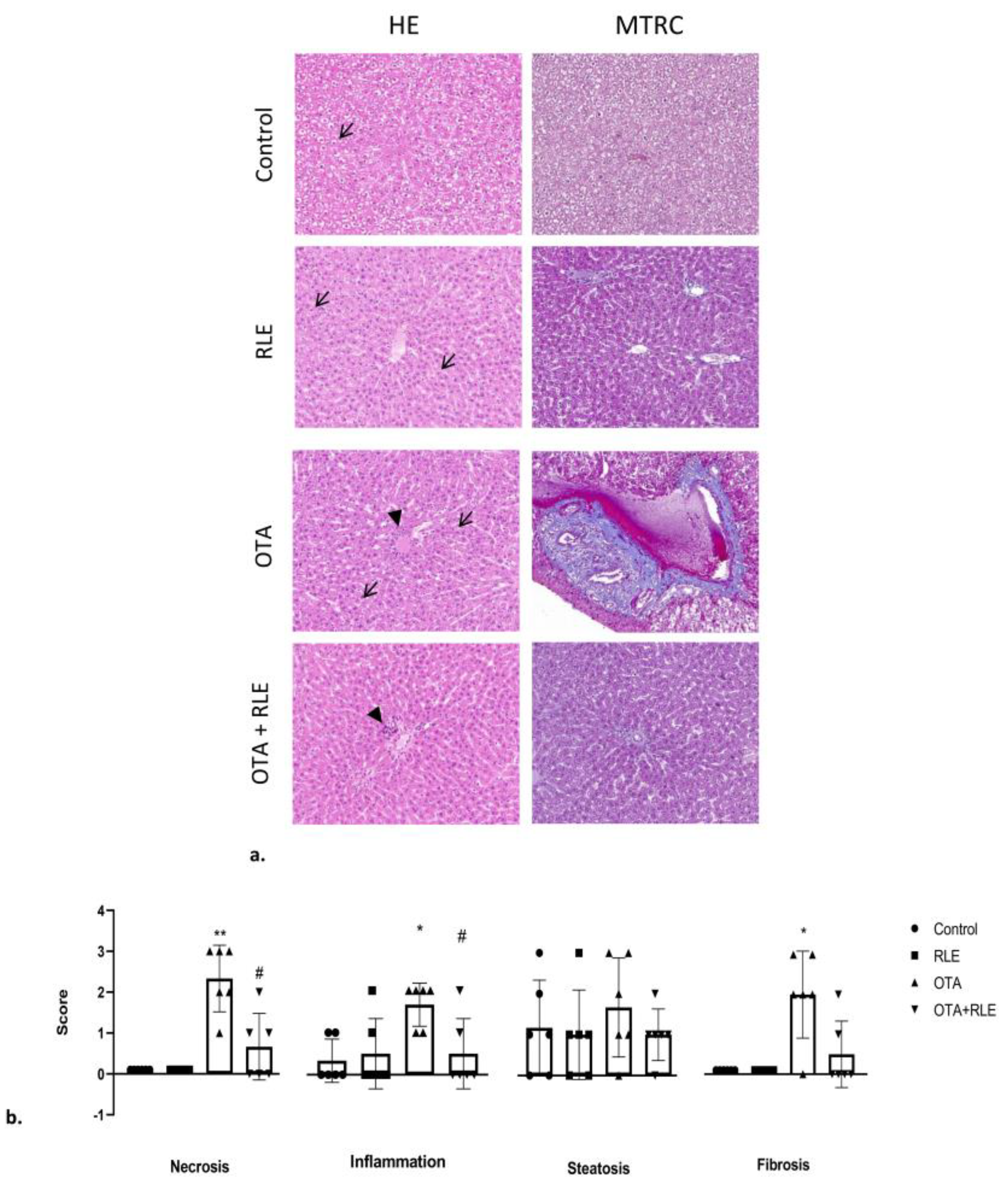 Antioxidants 13 00289 g003
