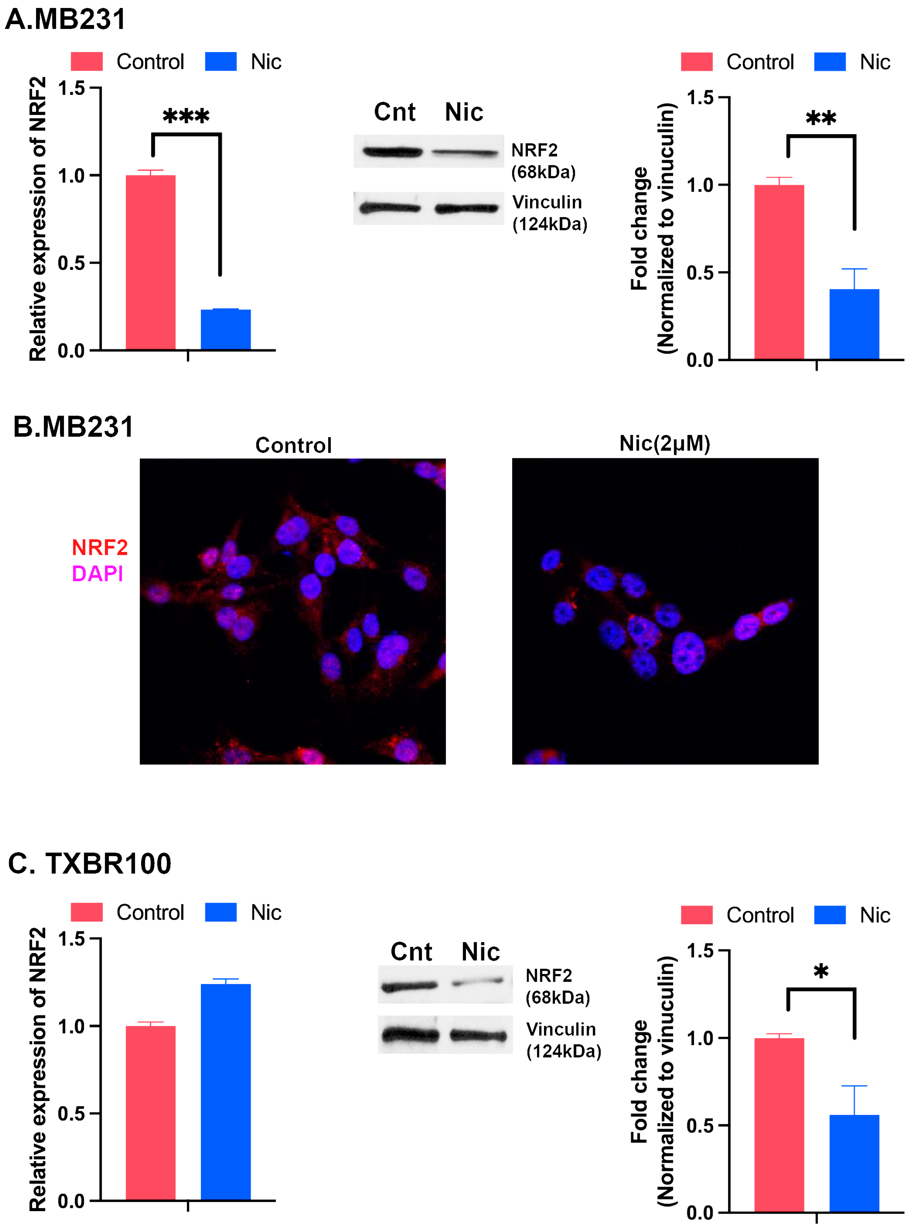 Antioxidants 13 00291 g005