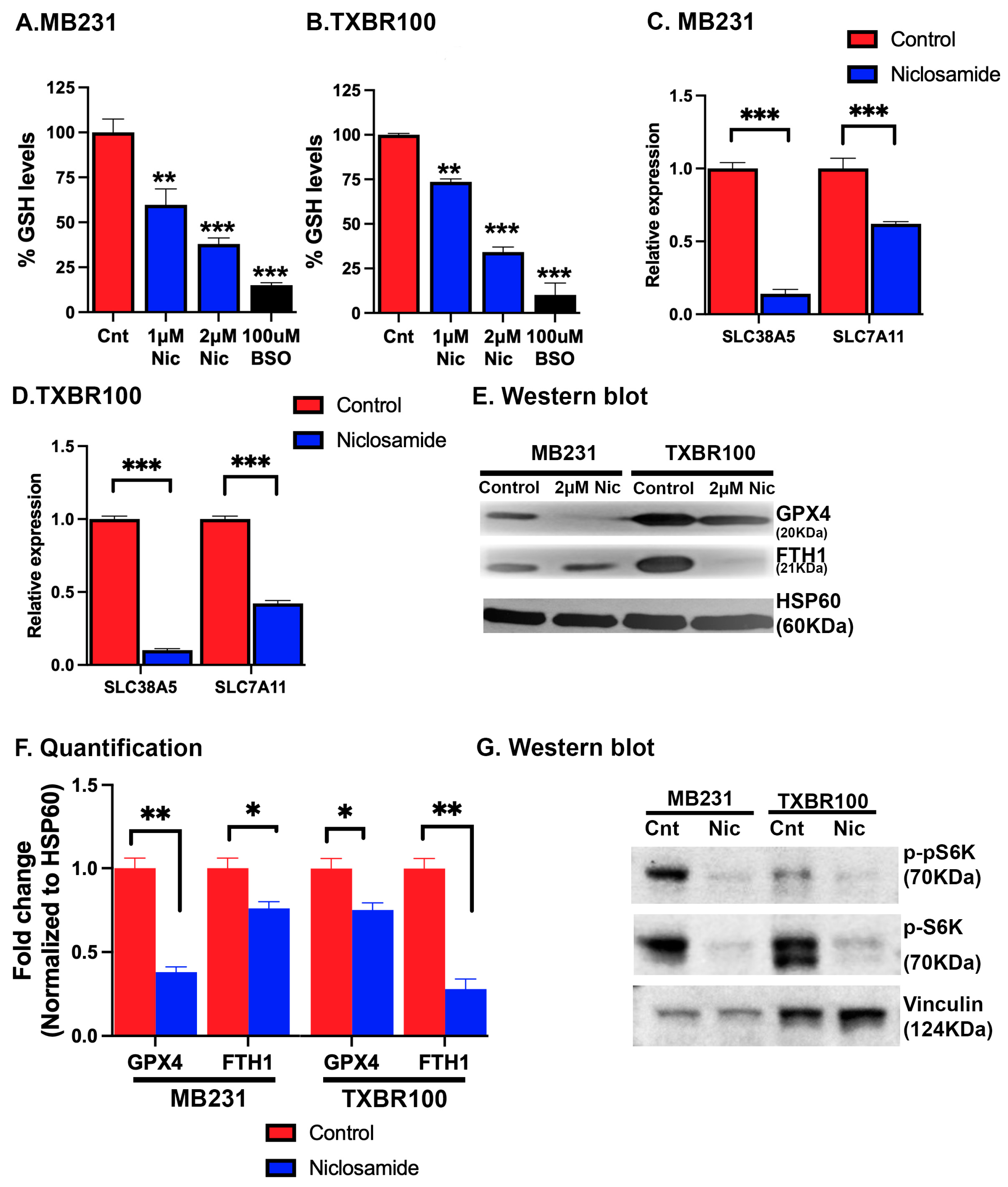 Antioxidants 13 00291 g007