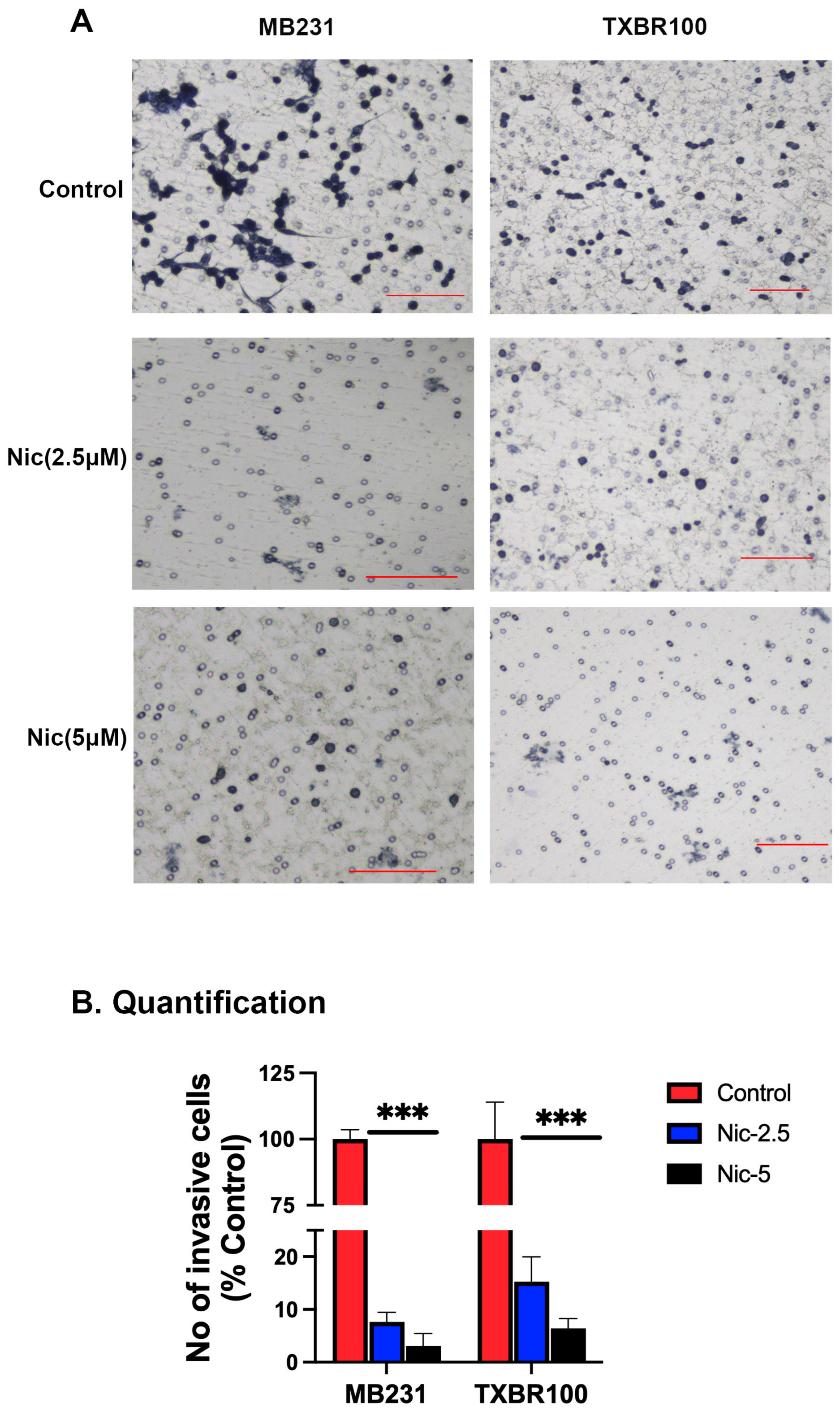 Antioxidants 13 00291 g010