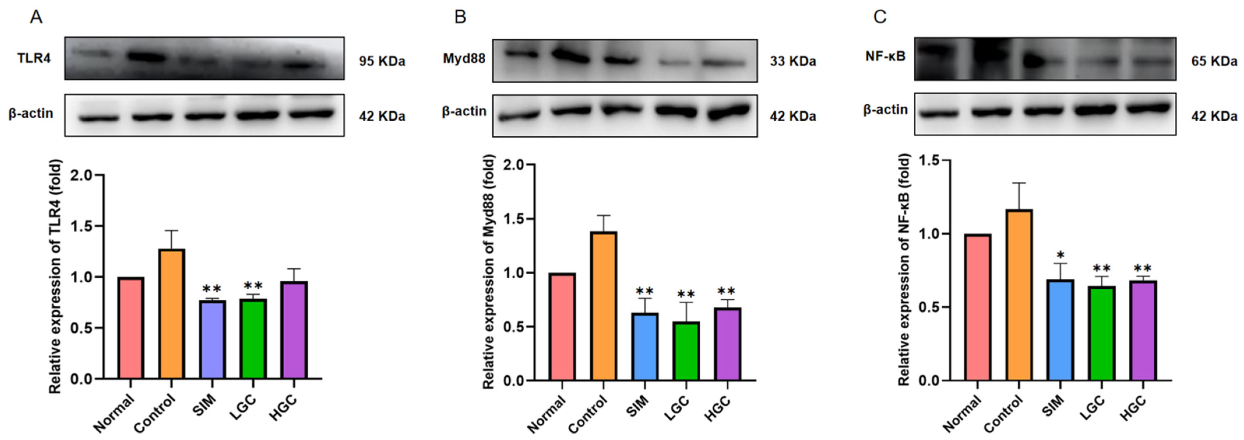 Antioxidants 13 00293 g006