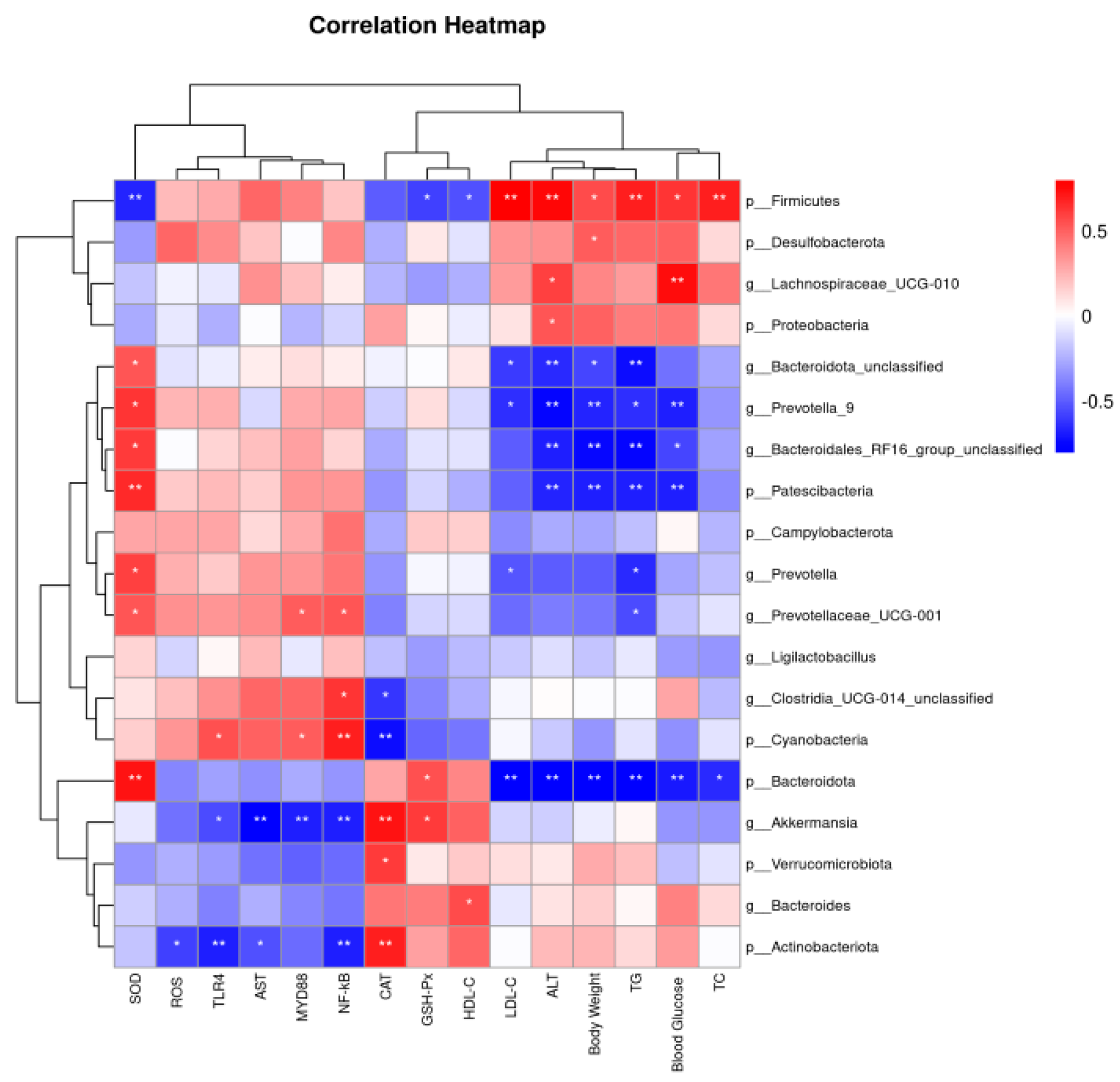 Antioxidants 13 00293 g007