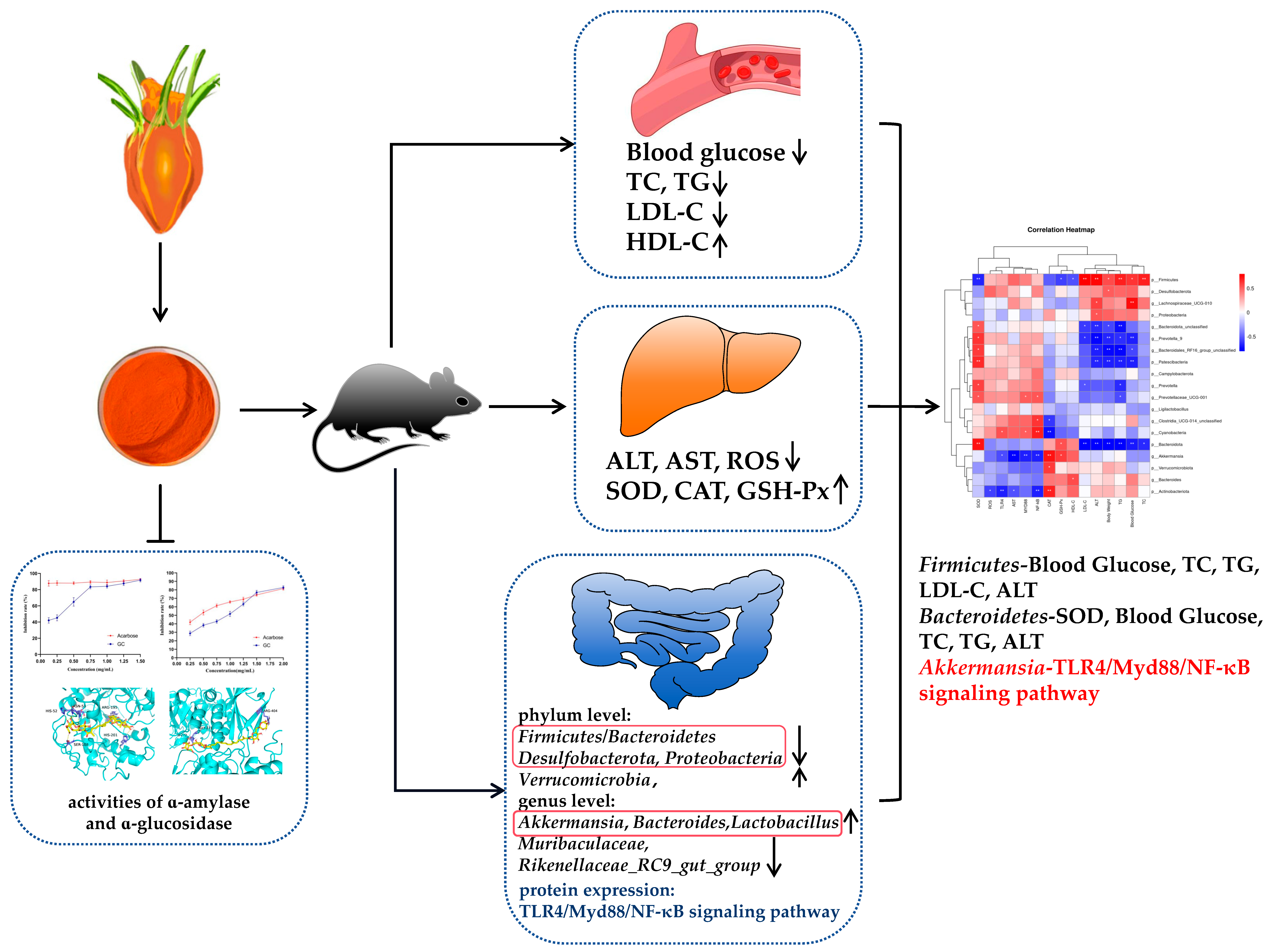 Antioxidants 13 00293 g008
