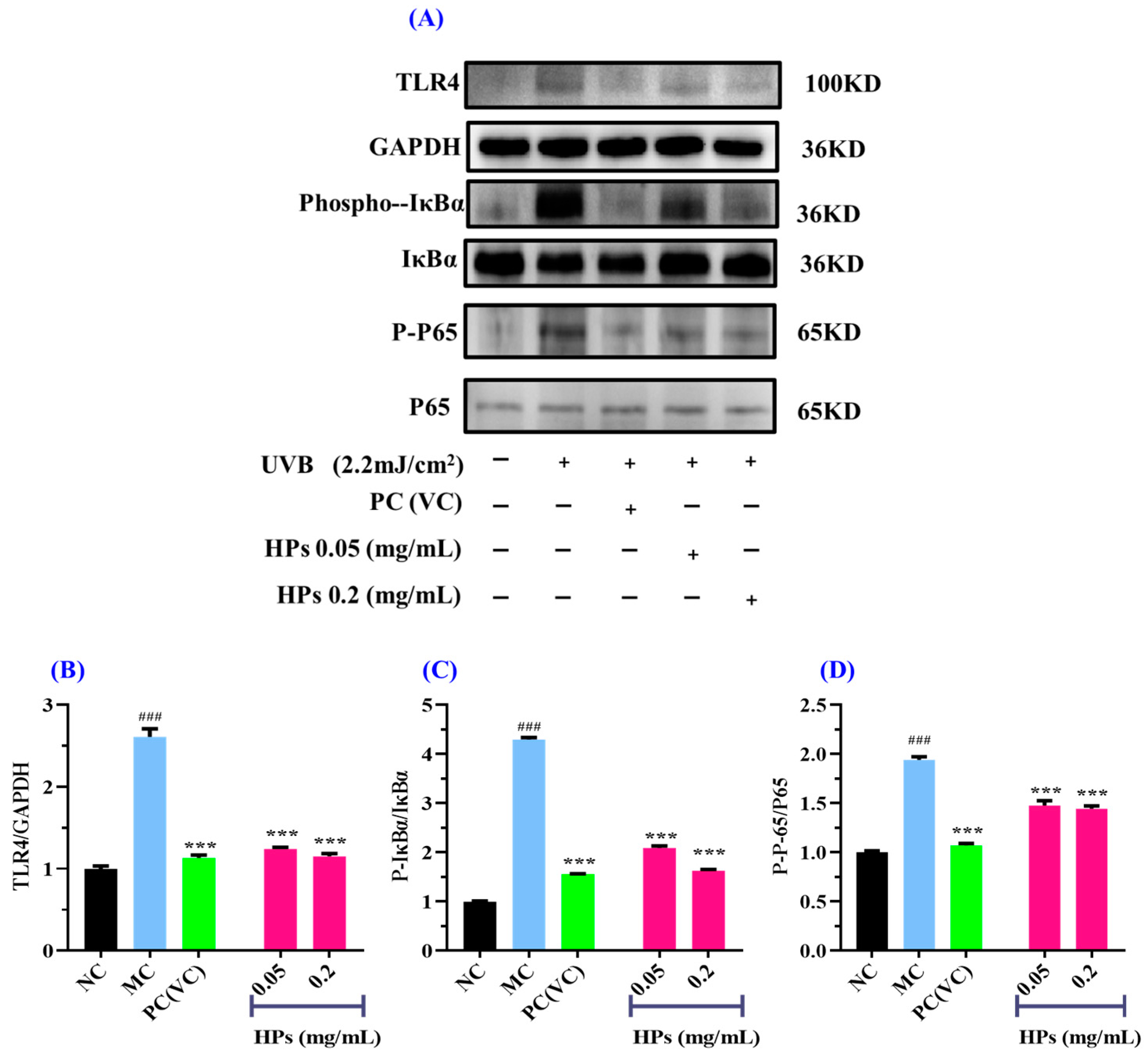 Antioxidants 13 00294 g011
