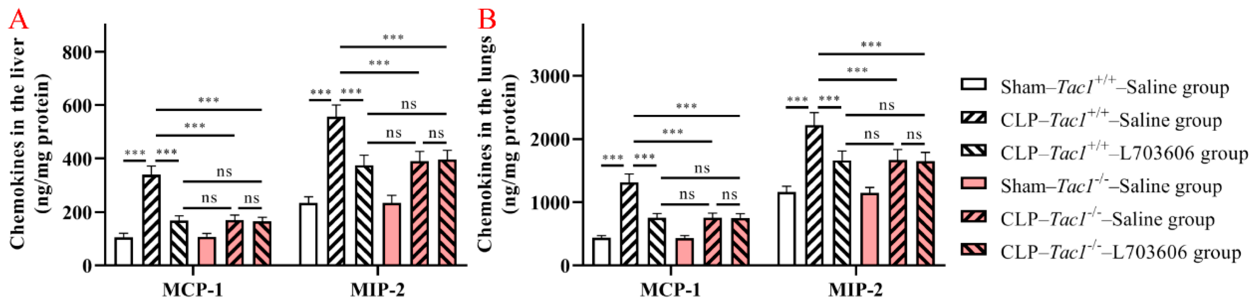 Antioxidants 13 00300 g005