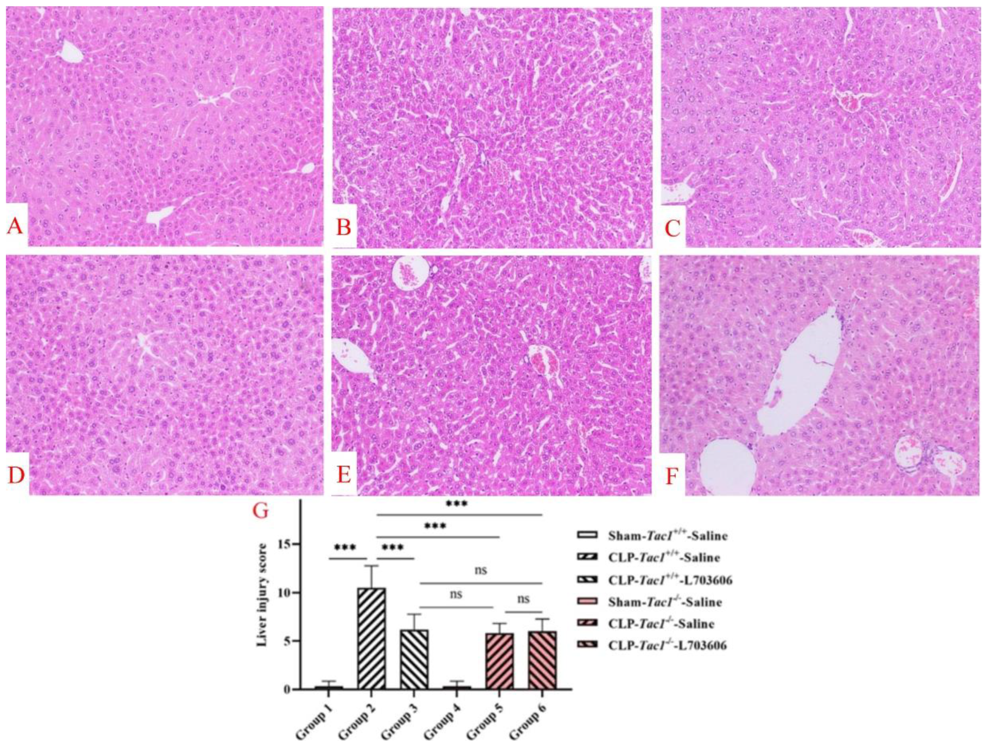 Antioxidants 13 00300 g008