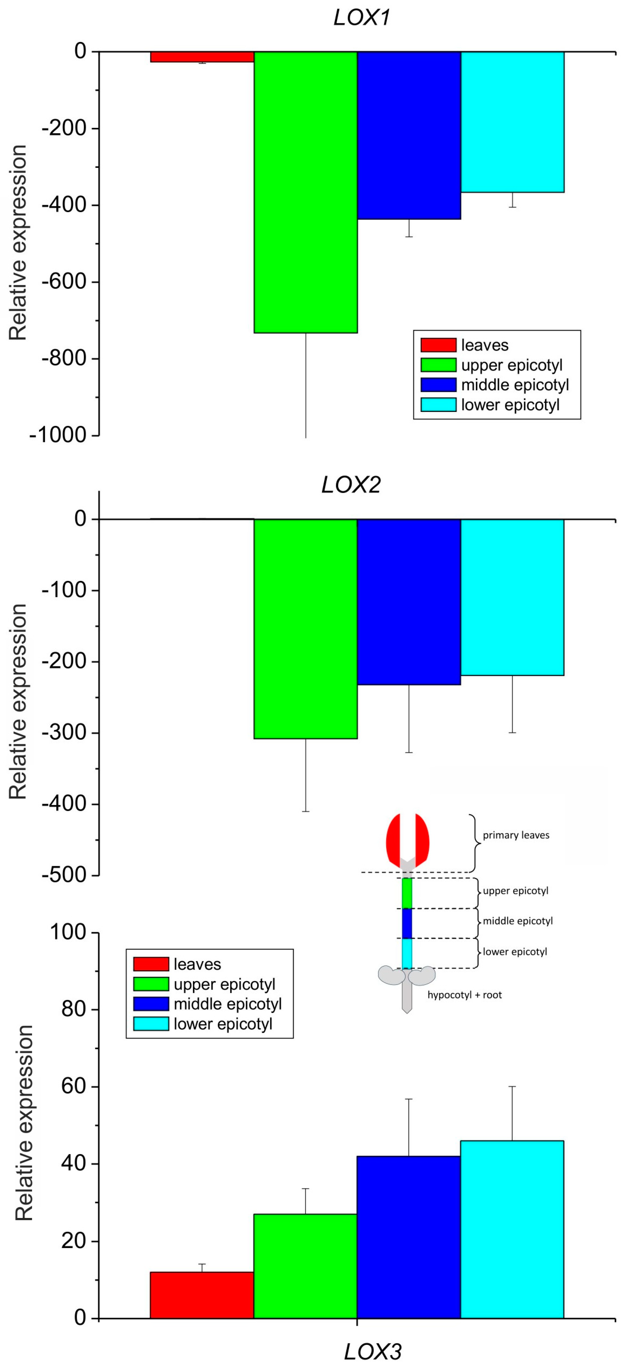Antioxidants 13 00301 g003 Antioxidants 13 00301 g003