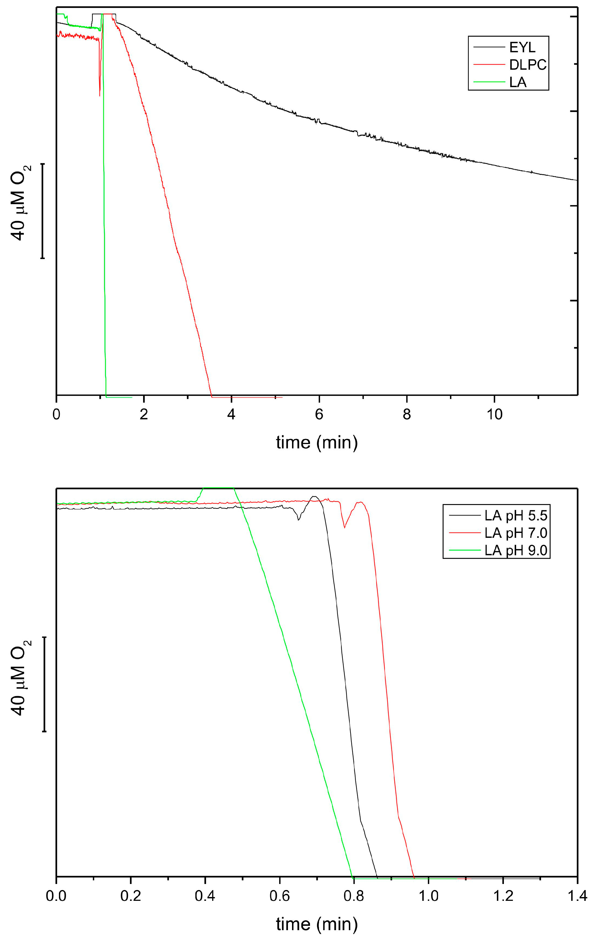 Antioxidants 13 00301 g005 Antioxidants 13 00301 g005