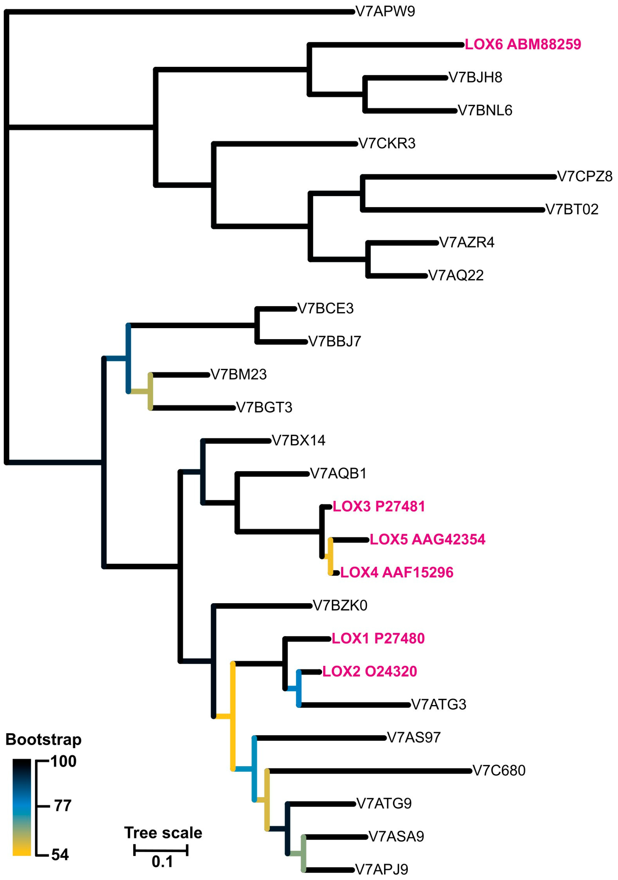 Antioxidants 13 00301 g009 Antioxidants 13 00301 g009
