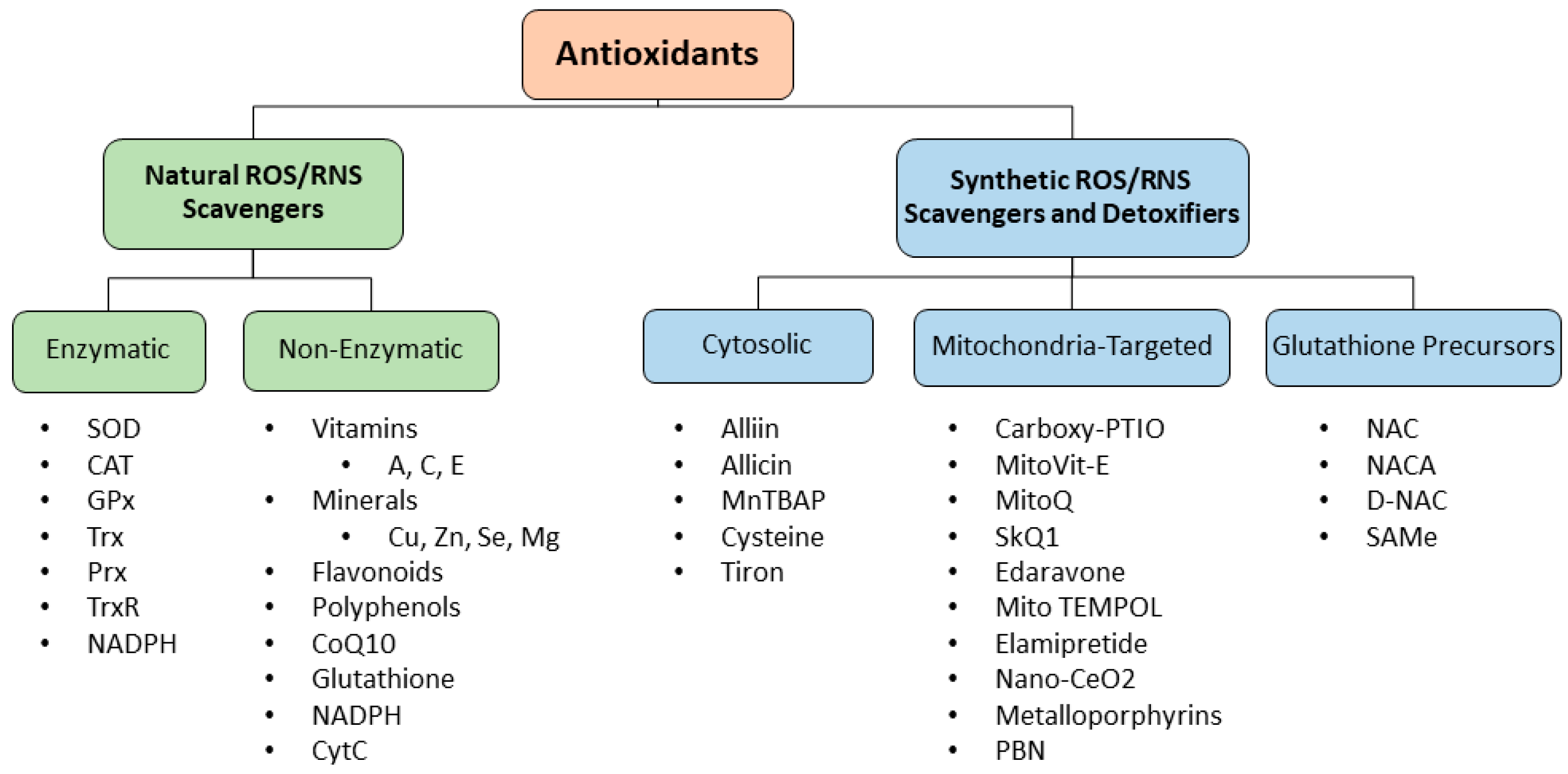 Antioxidants 13 00303 g003
