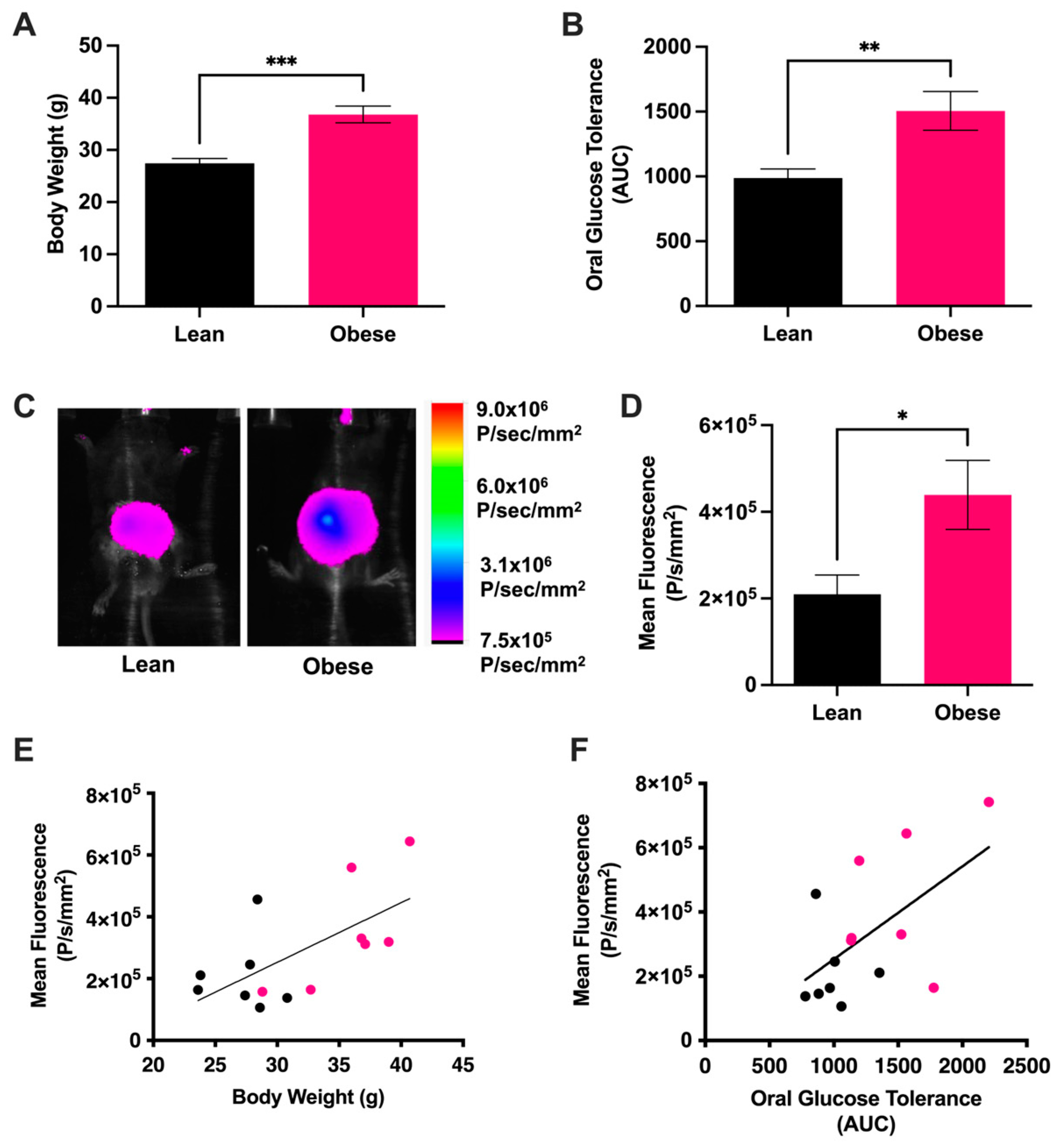 Antioxidants 13 00304 g001