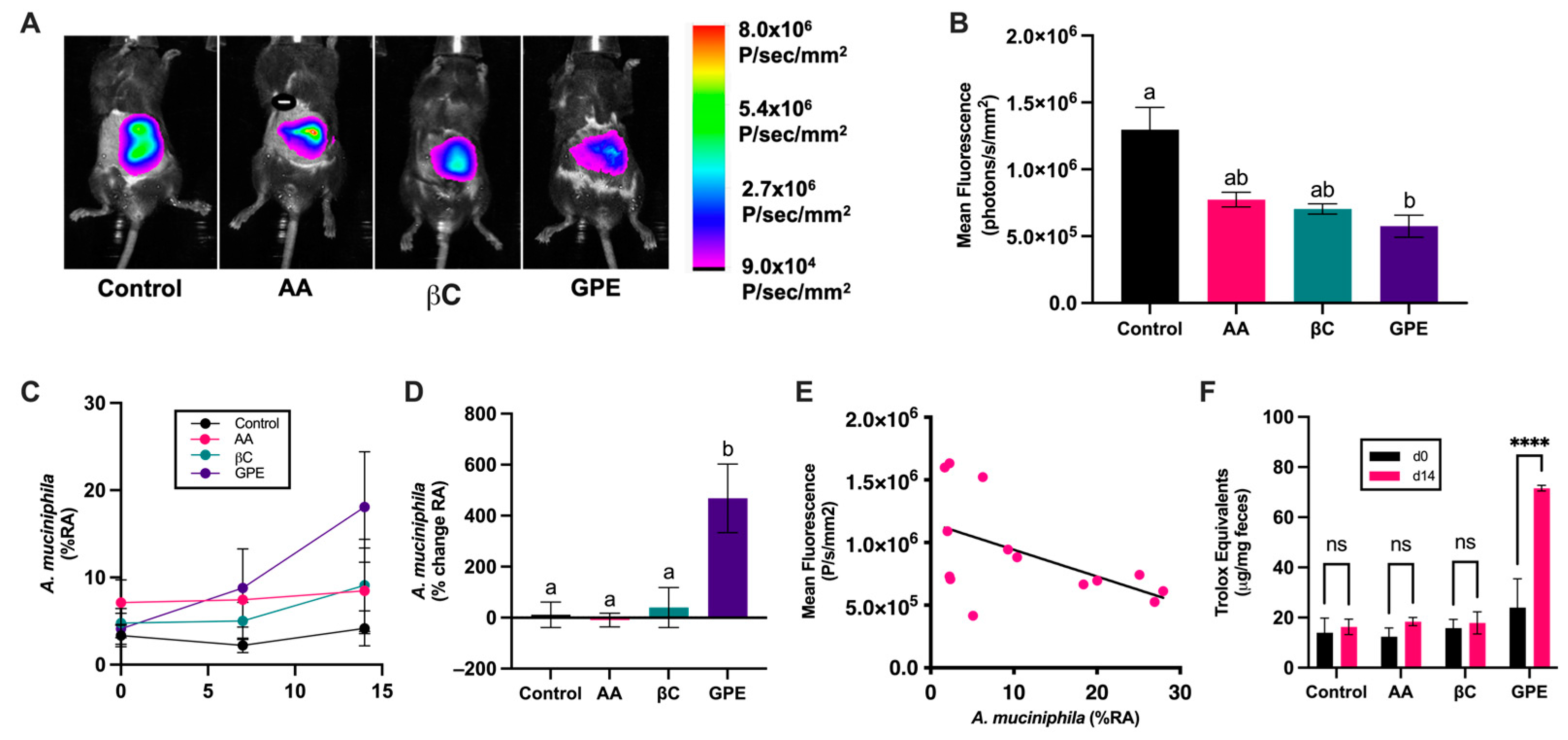 Antioxidants 13 00304 g004