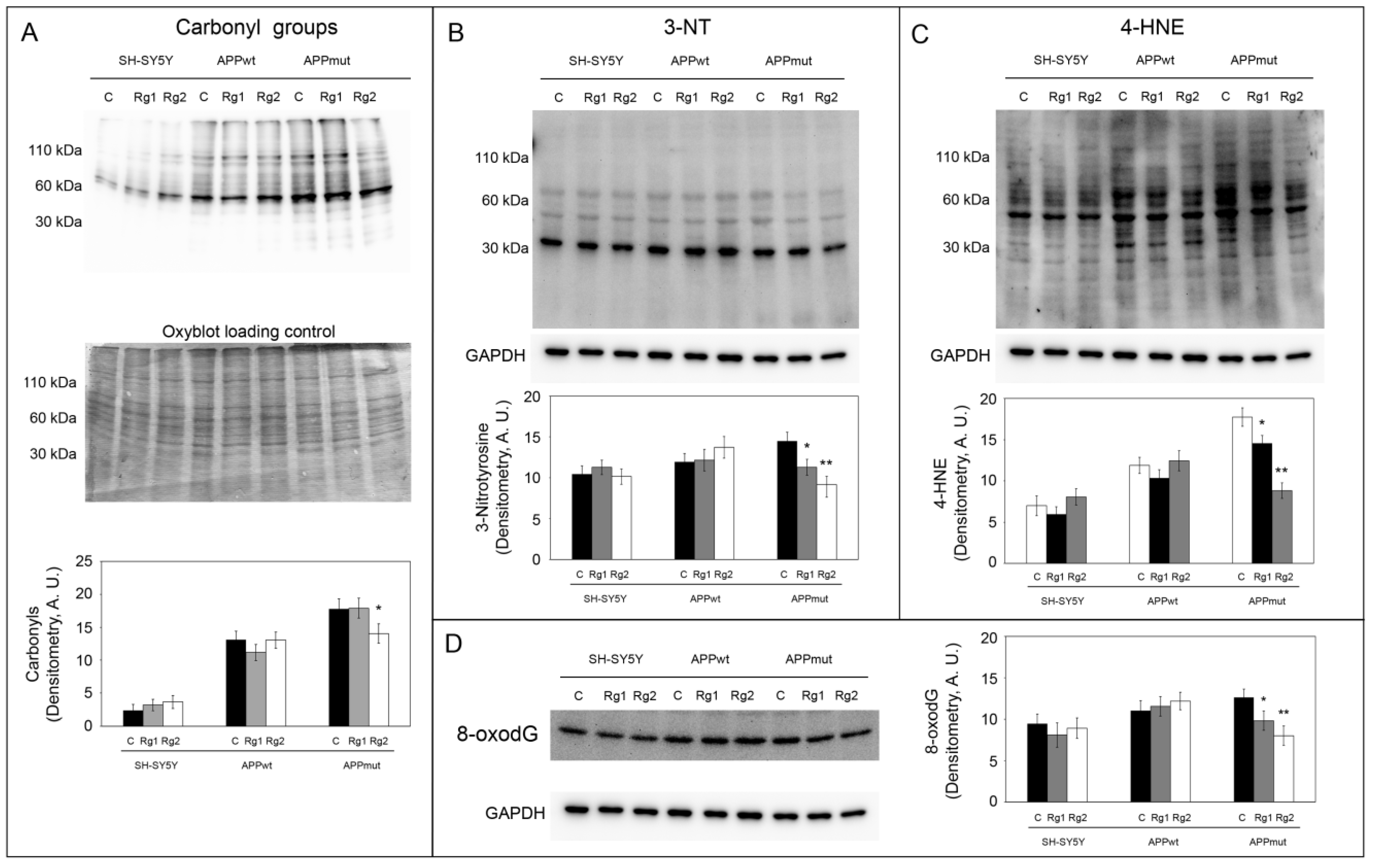 Antioxidants 13 00310 g007