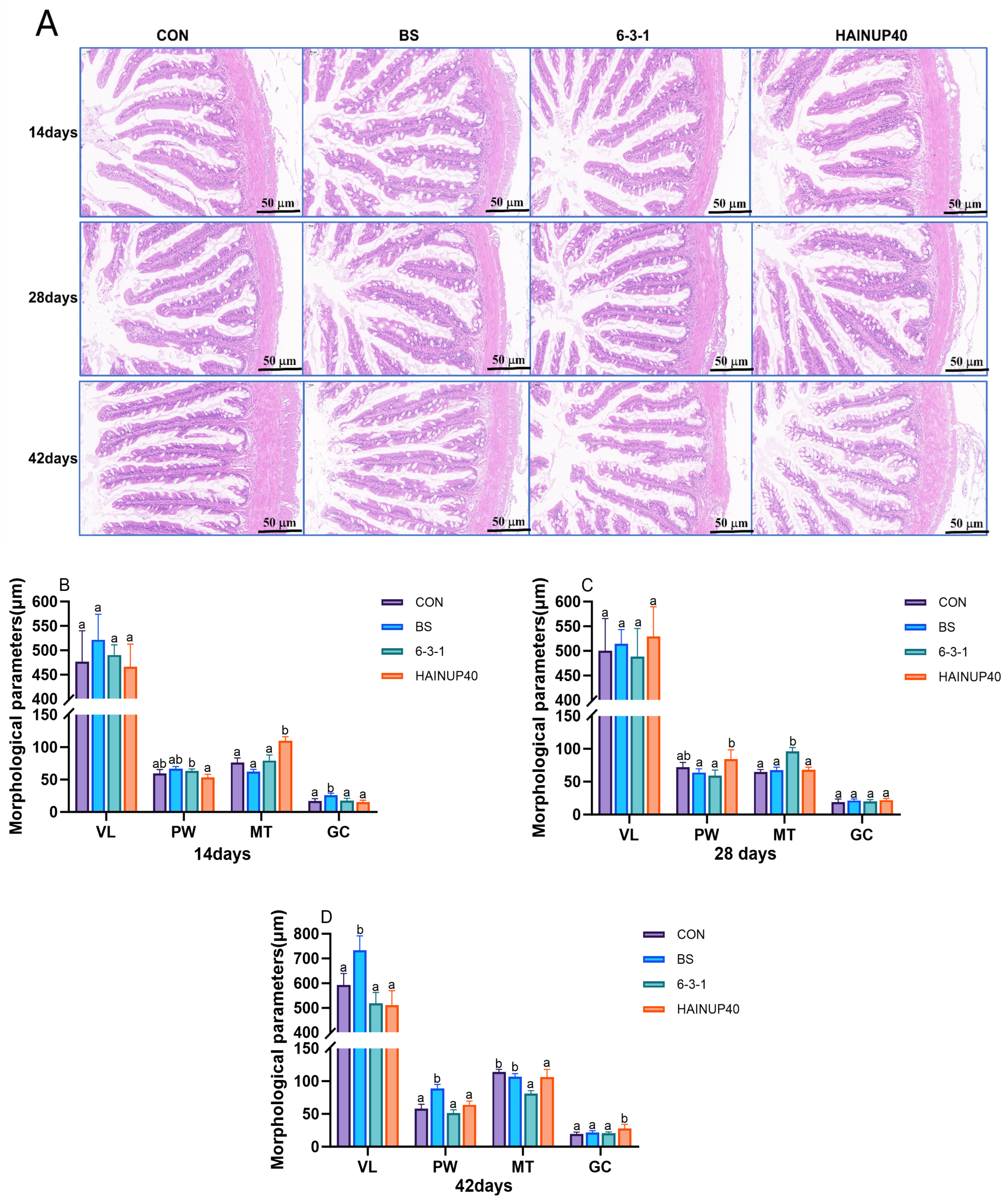 Antioxidants 13 00317 g002