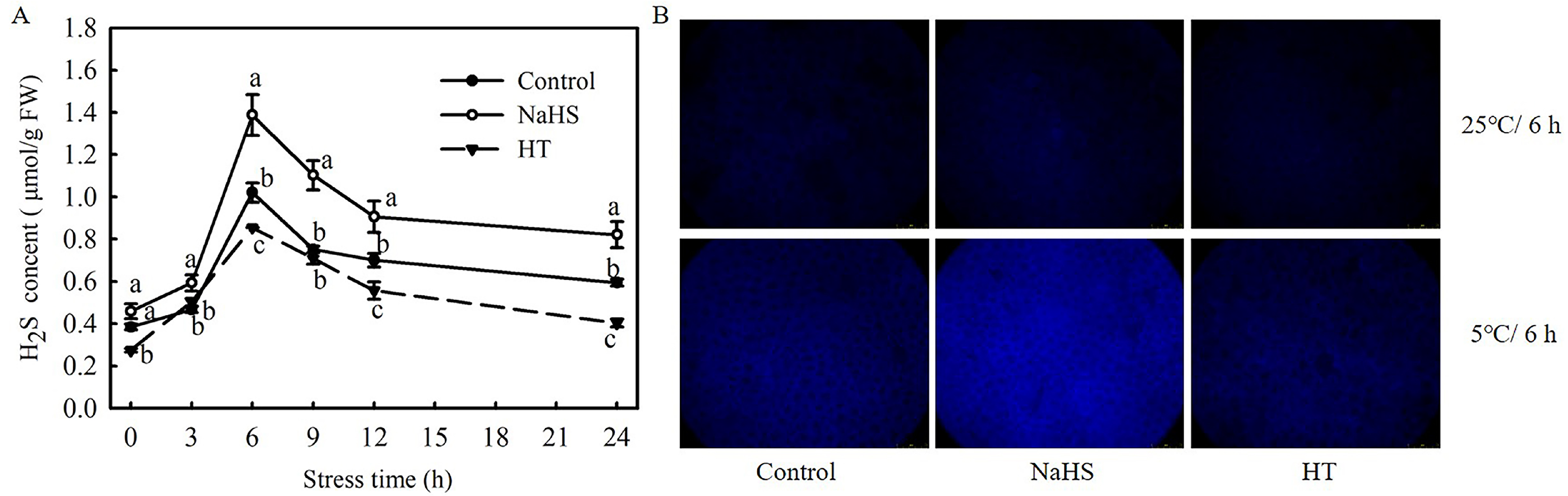 Antioxidants 13 00323 g001