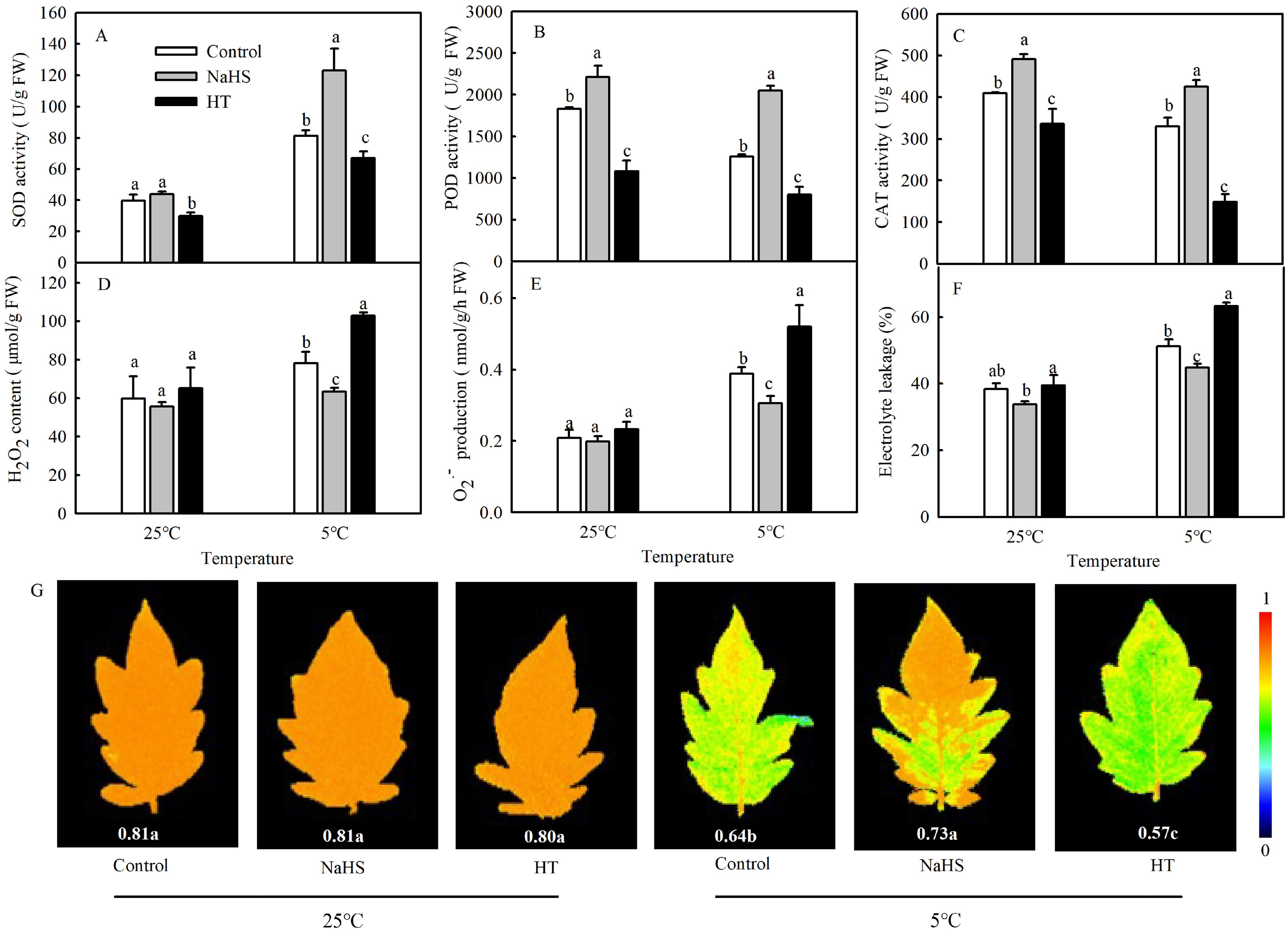Antioxidants 13 00323 g002