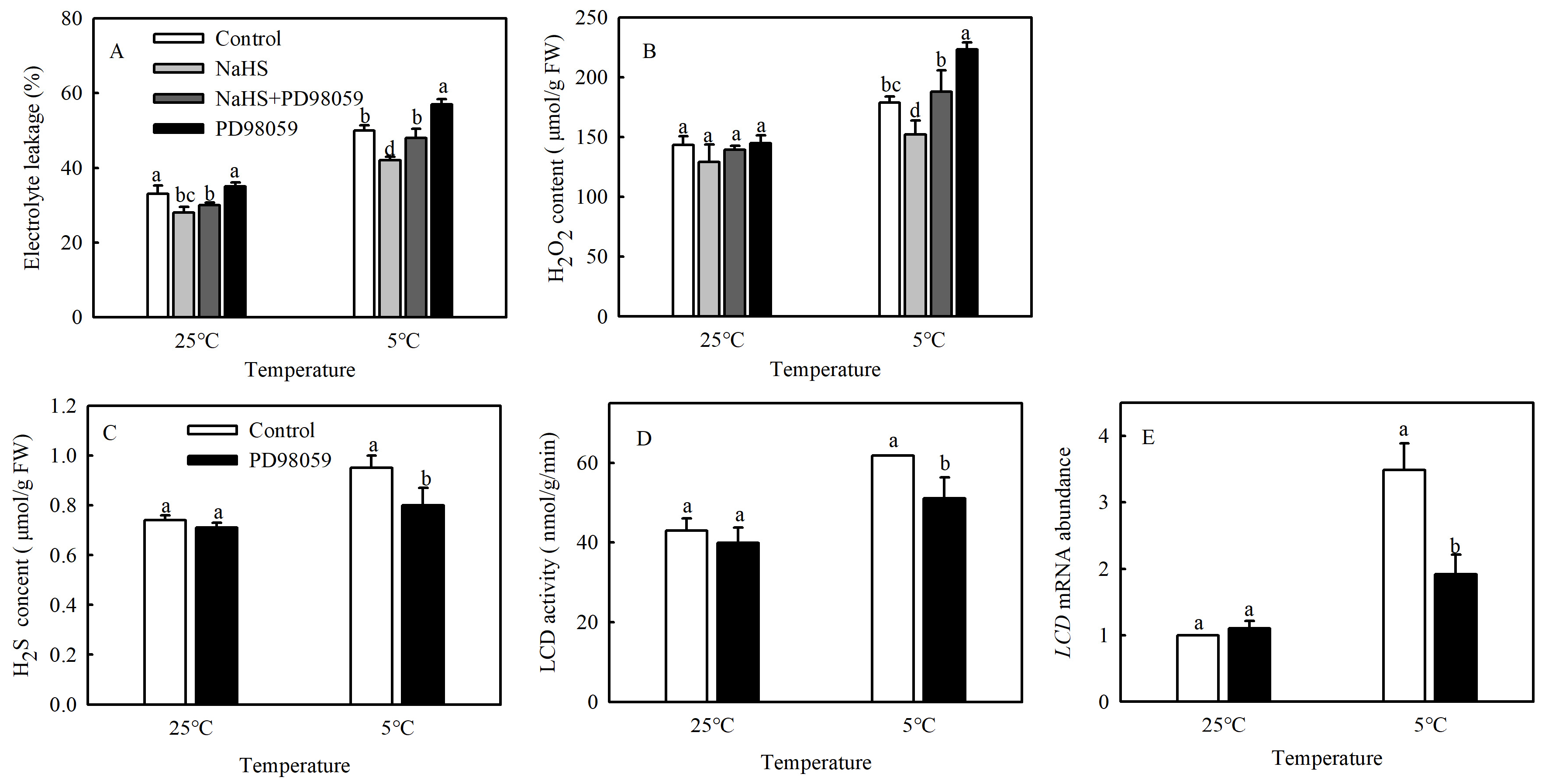 Antioxidants 13 00323 g003