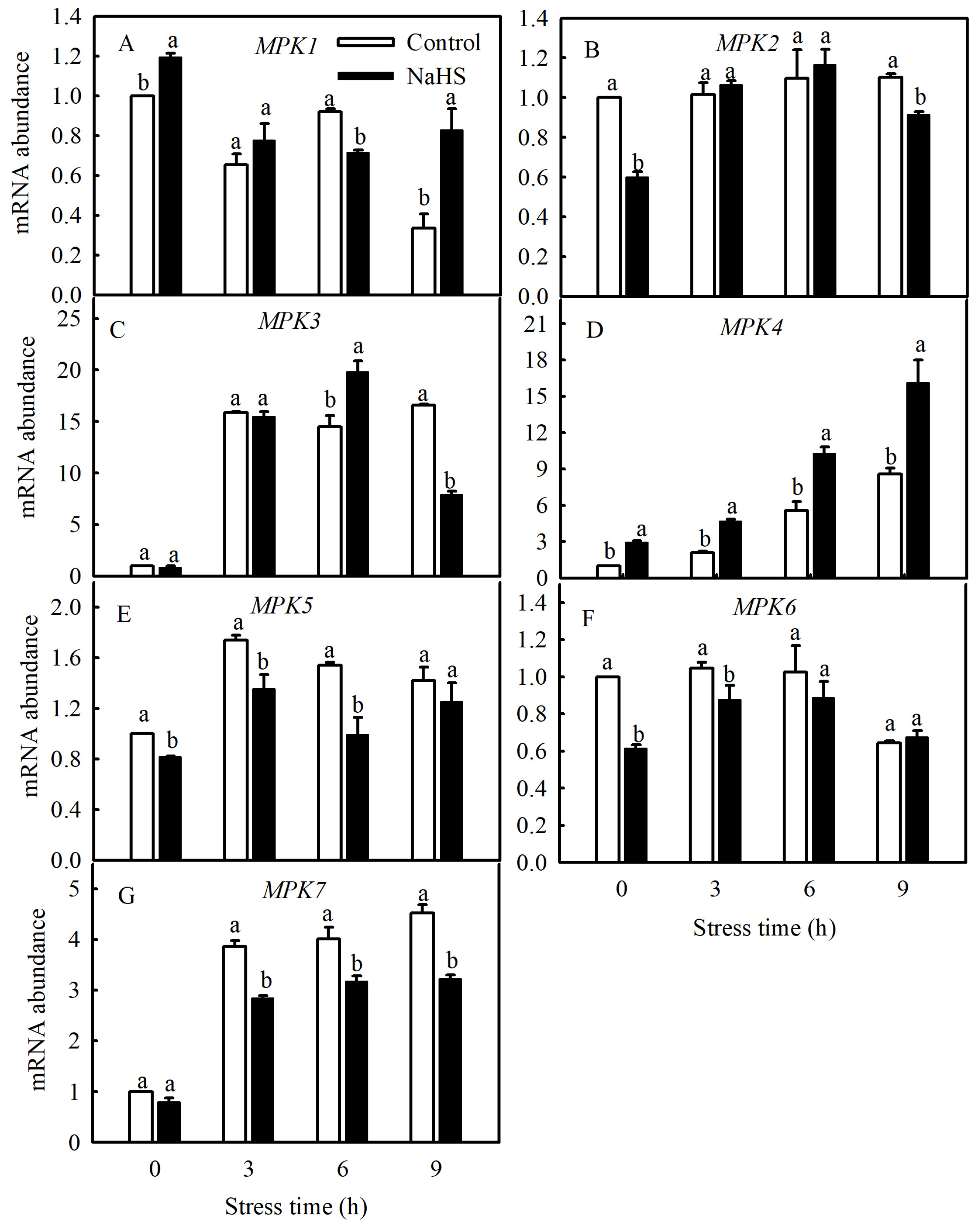 Antioxidants 13 00323 g004