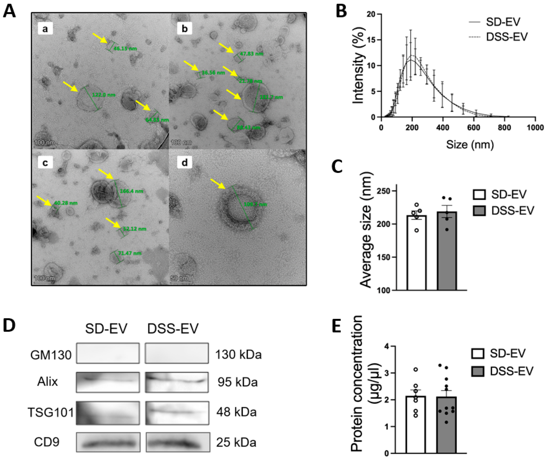 Antioxidants 13 00328 g002