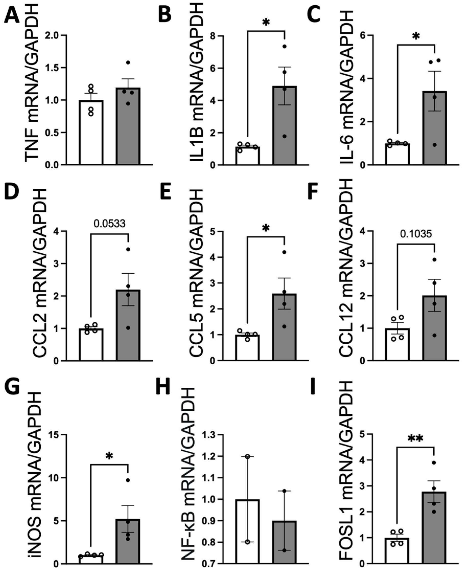 Antioxidants 13 00328 g007