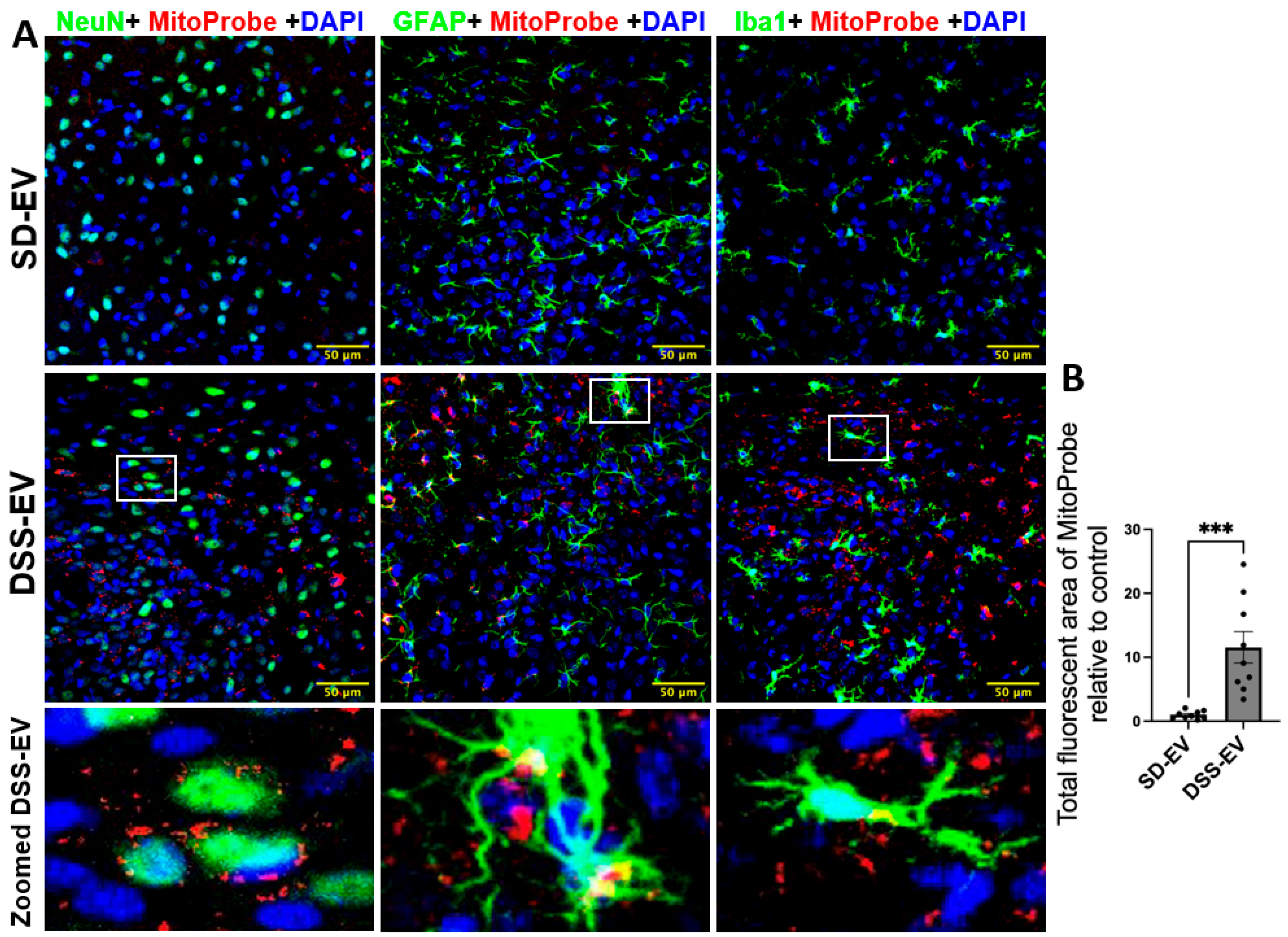 Antioxidants 13 00328 g009