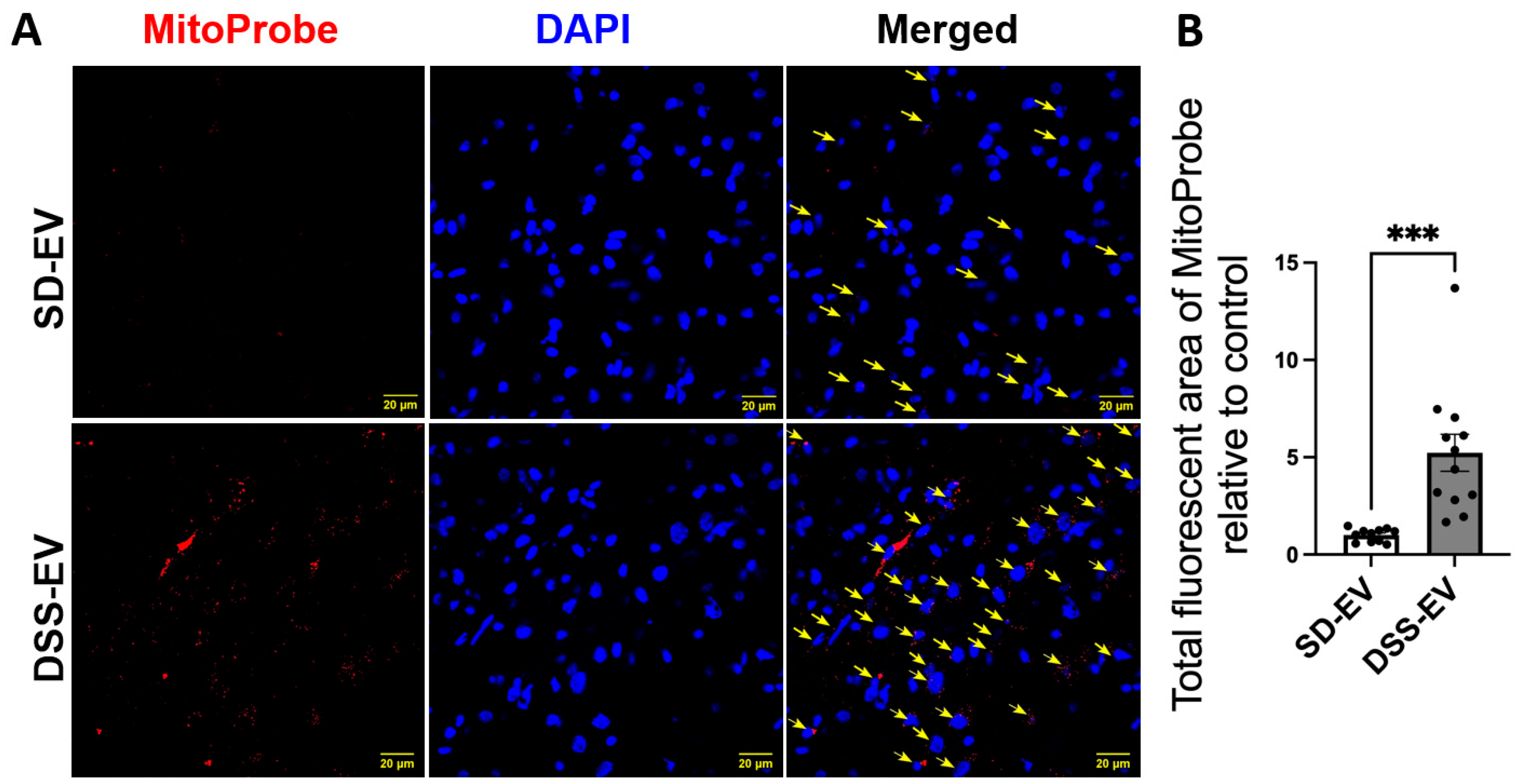 Antioxidants 13 00328 g011