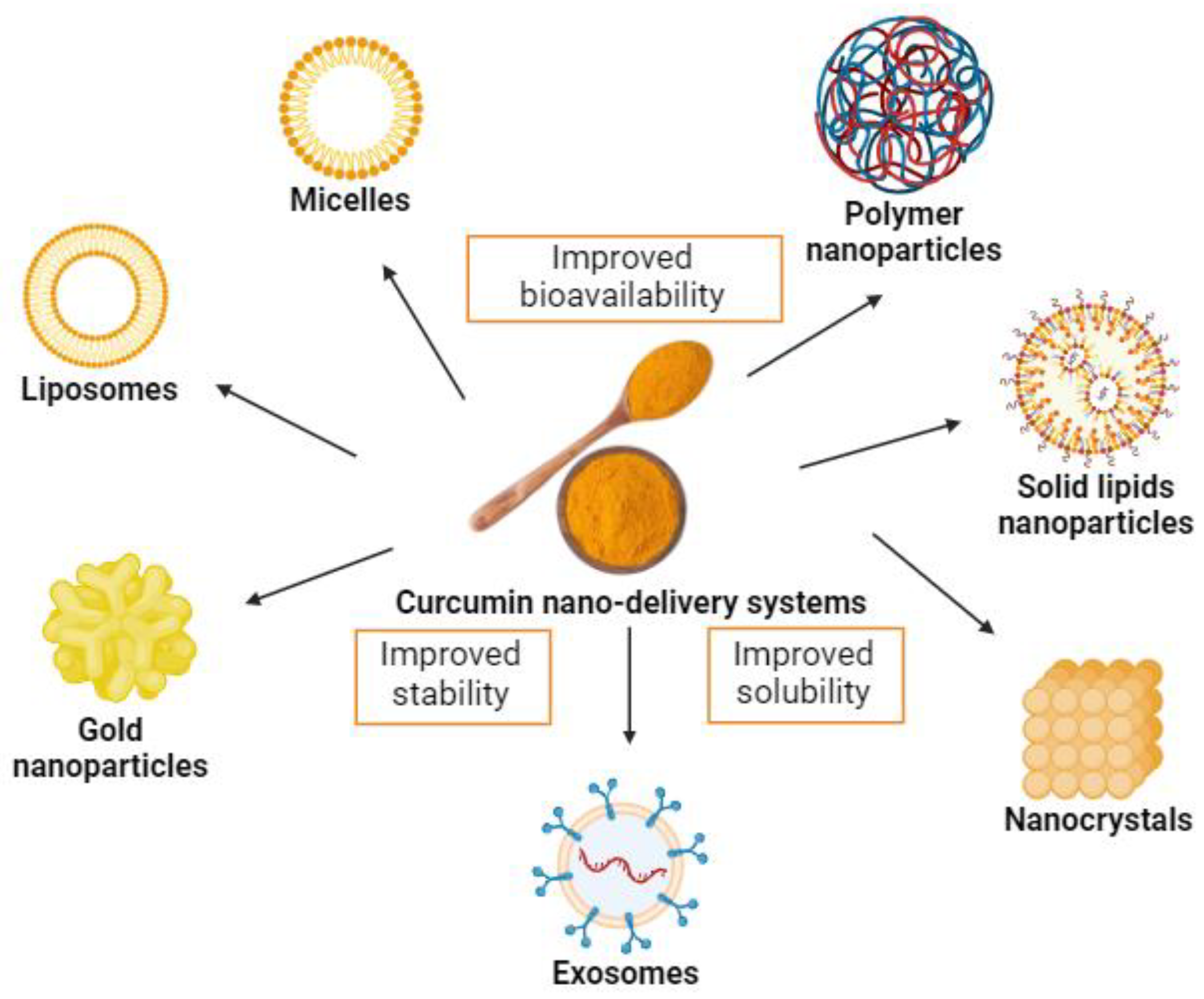 Enhancing the Bioavailability and Bioactivity of Curcumin powder 