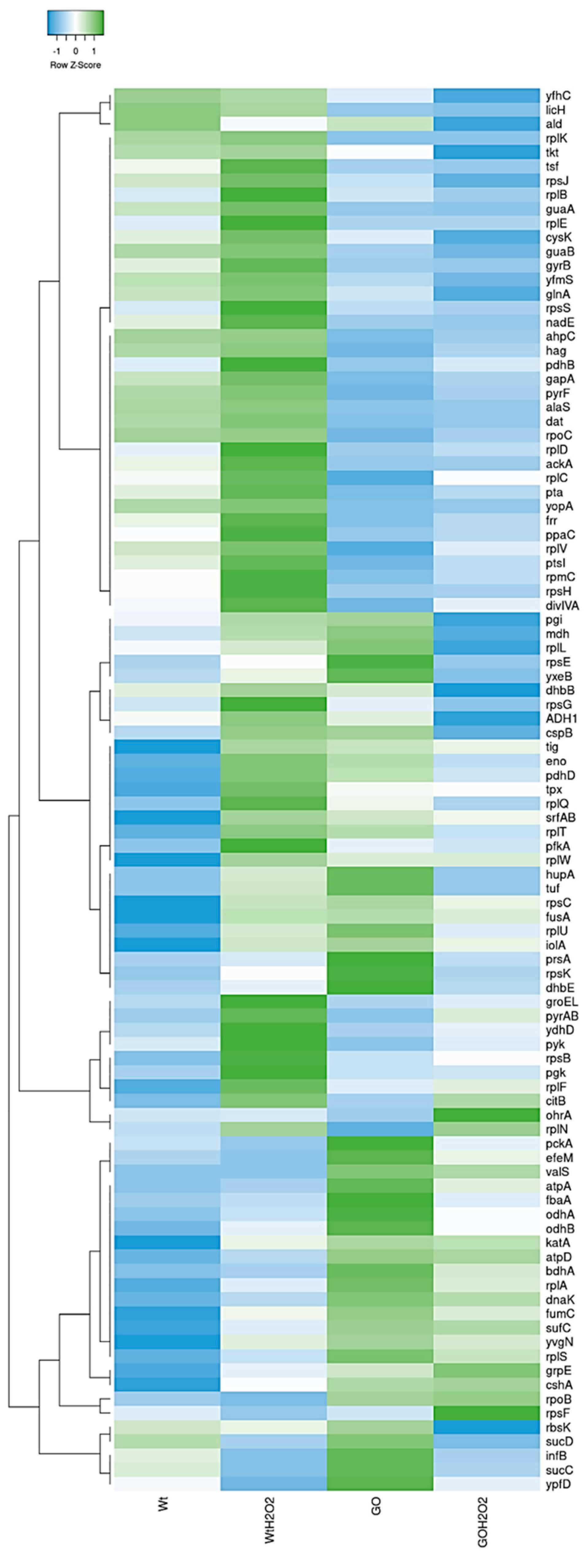 Antioxidants 13 00332 g003 Antioxidants 13 00332 g003