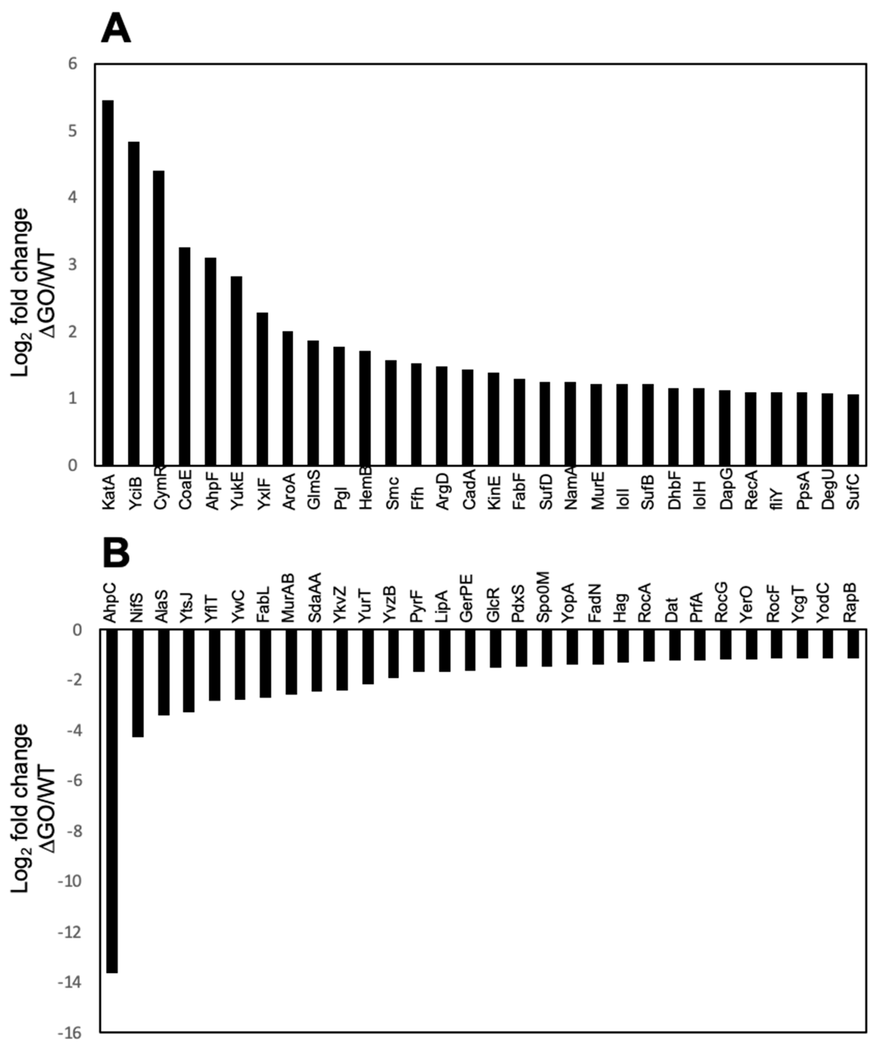 Antioxidants 13 00332 g004 Antioxidants 13 00332 g004