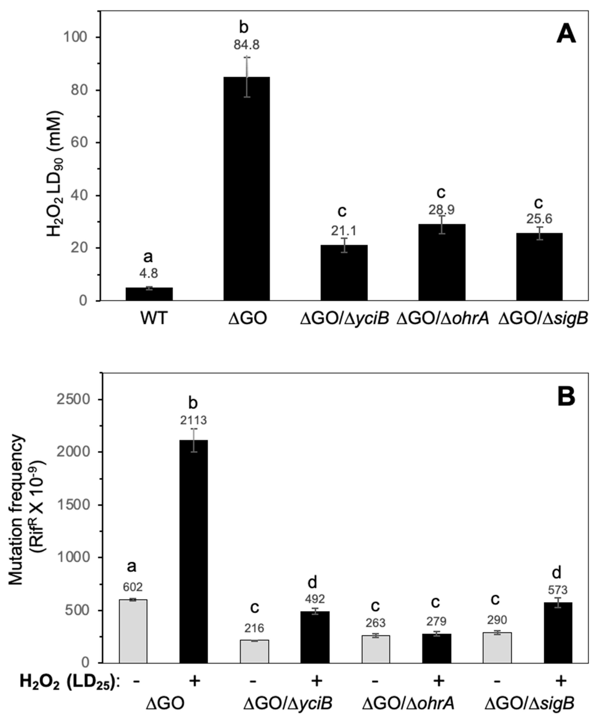 Antioxidants 13 00332 g006 Antioxidants 13 00332 g006