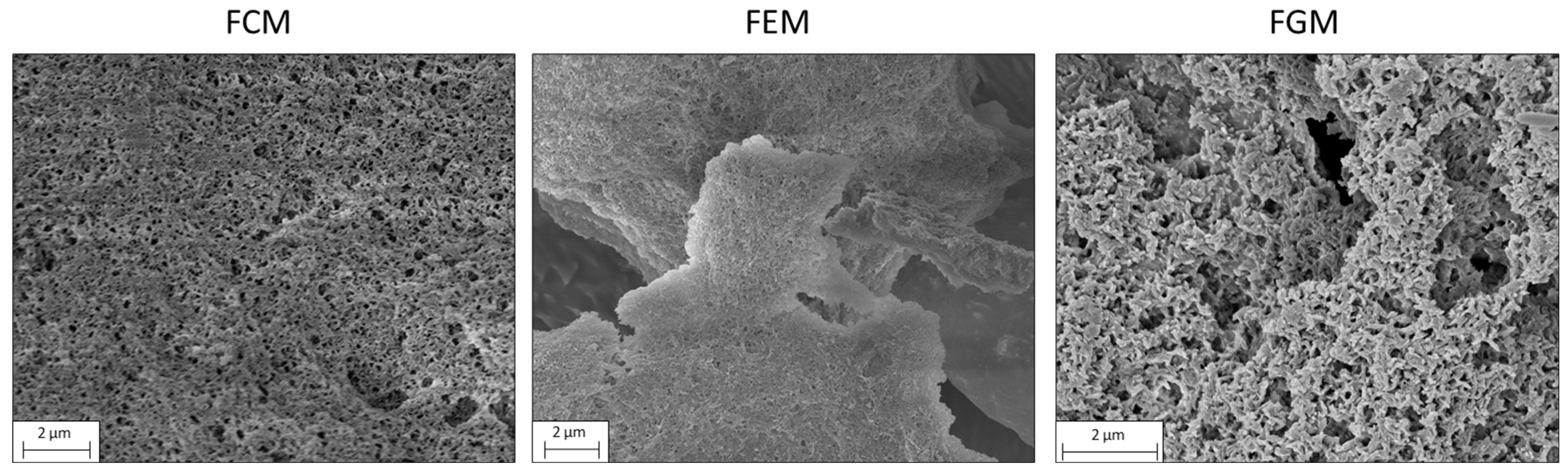 Antioxidants 13 00335 g004