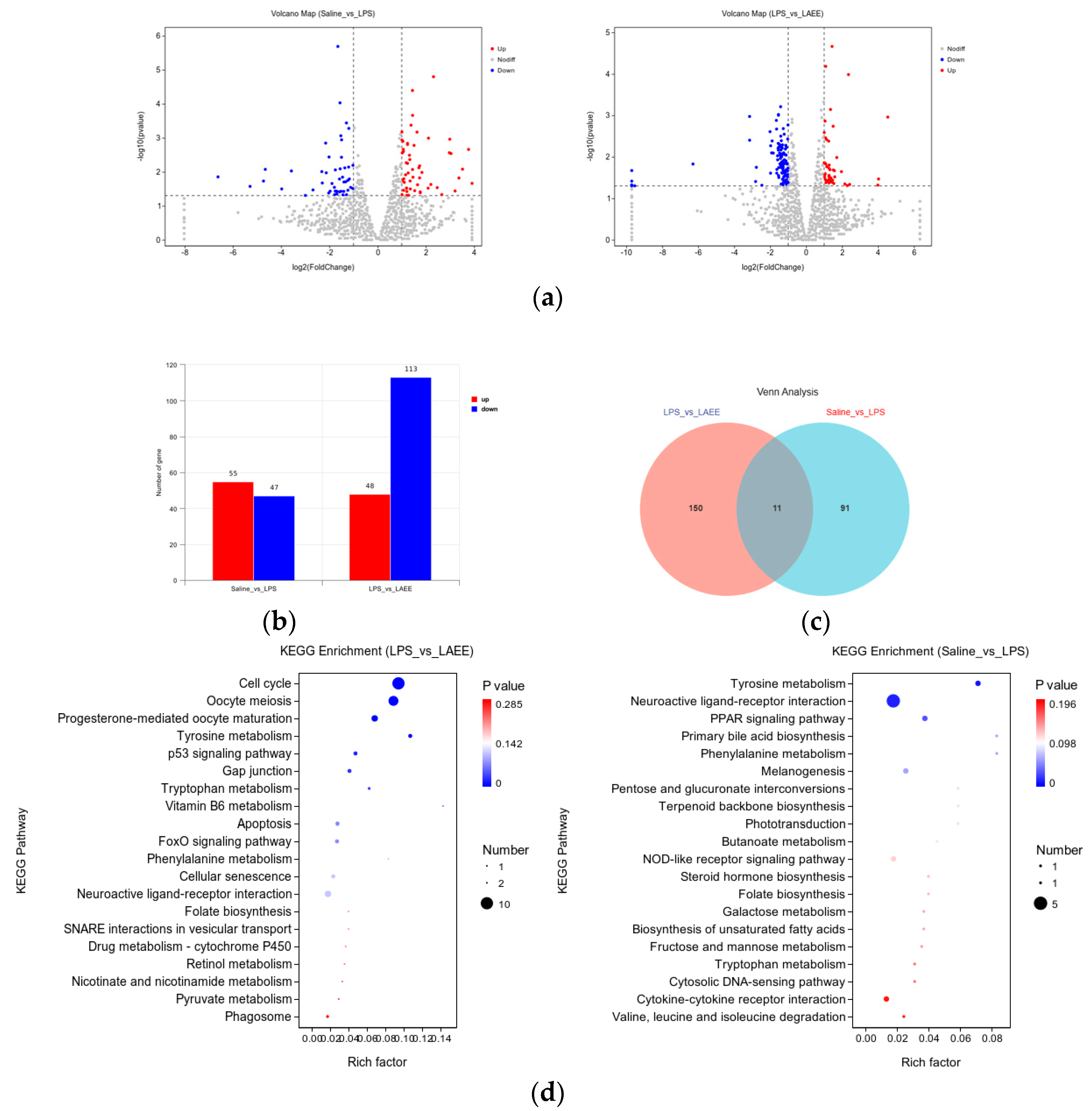 Antioxidants 13 00341 g004