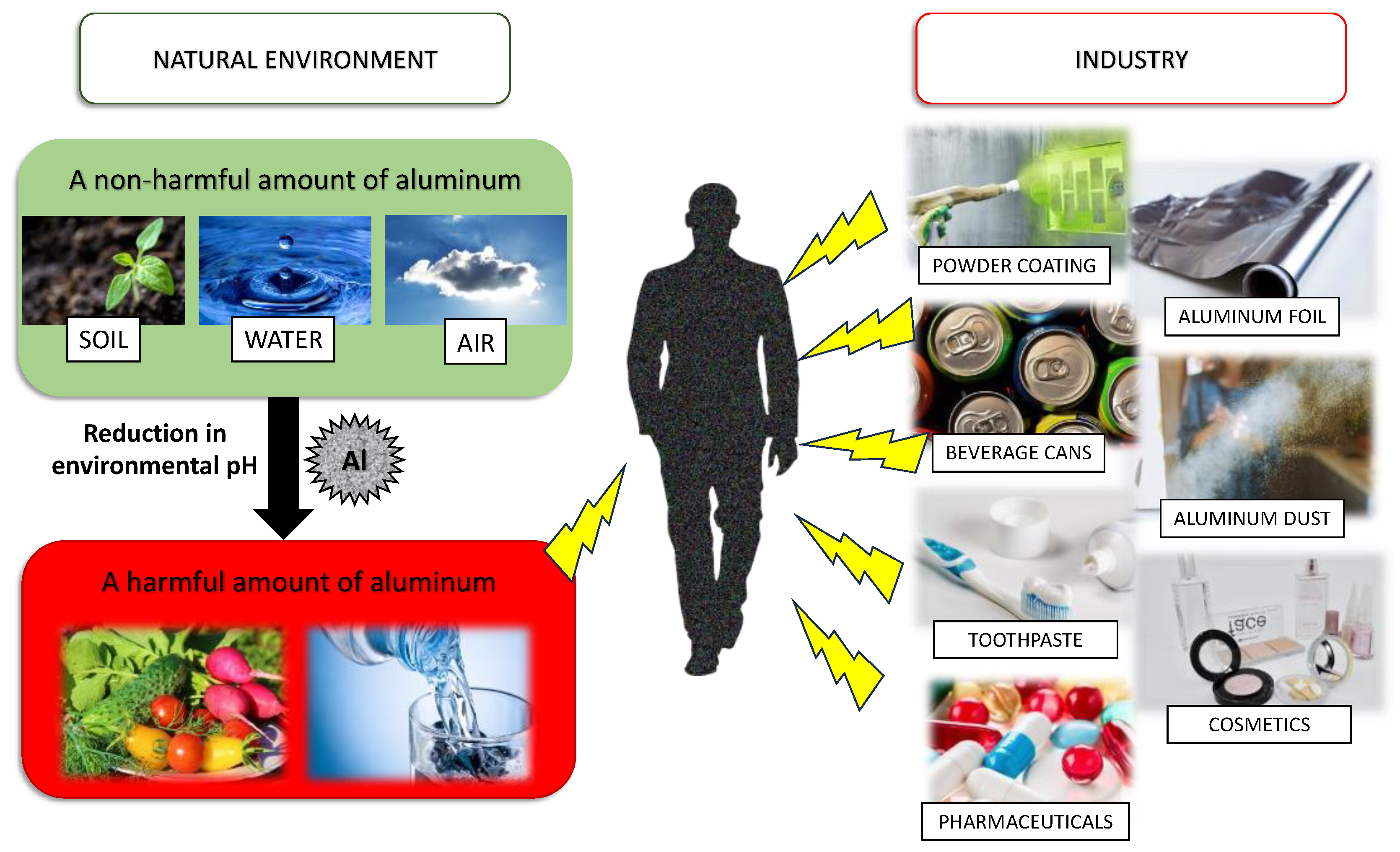 Antioxidants 13 00342 g001