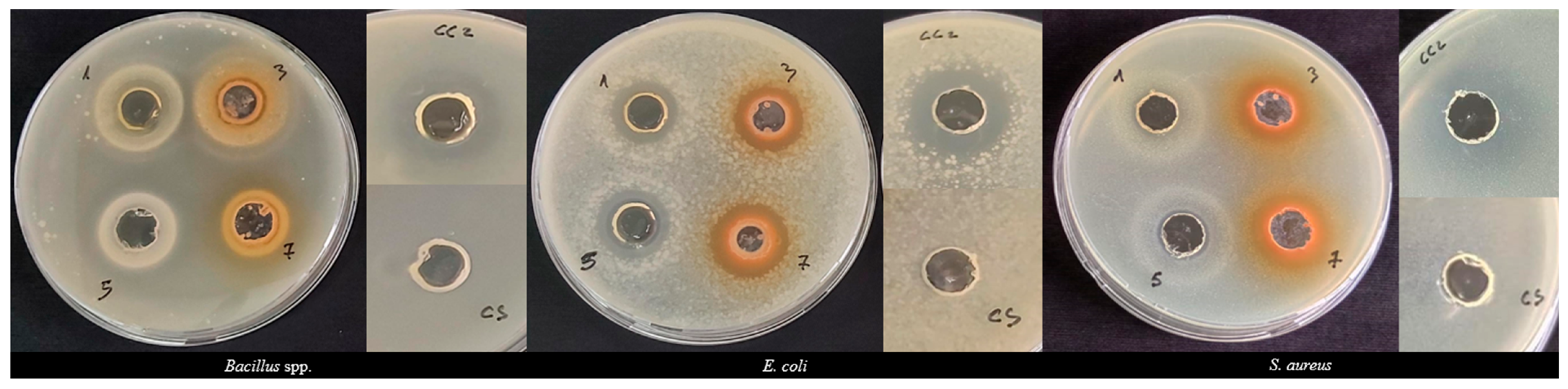 Antioxidants 13 00345 g003 Antioxidants 13 00345 g003