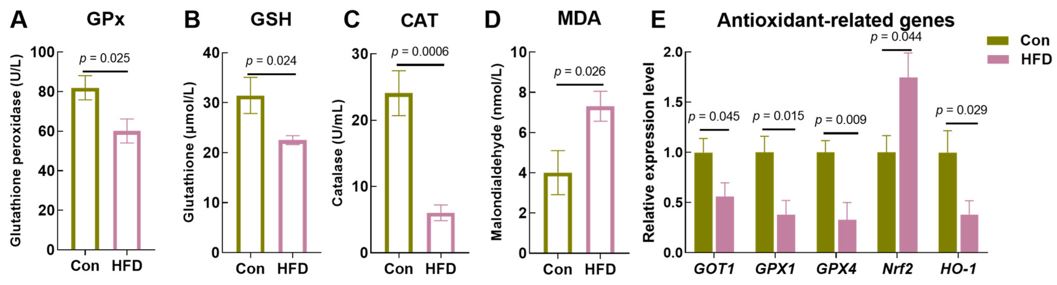 Antioxidants 13 00363 g001 Antioxidants 13 00363 g001