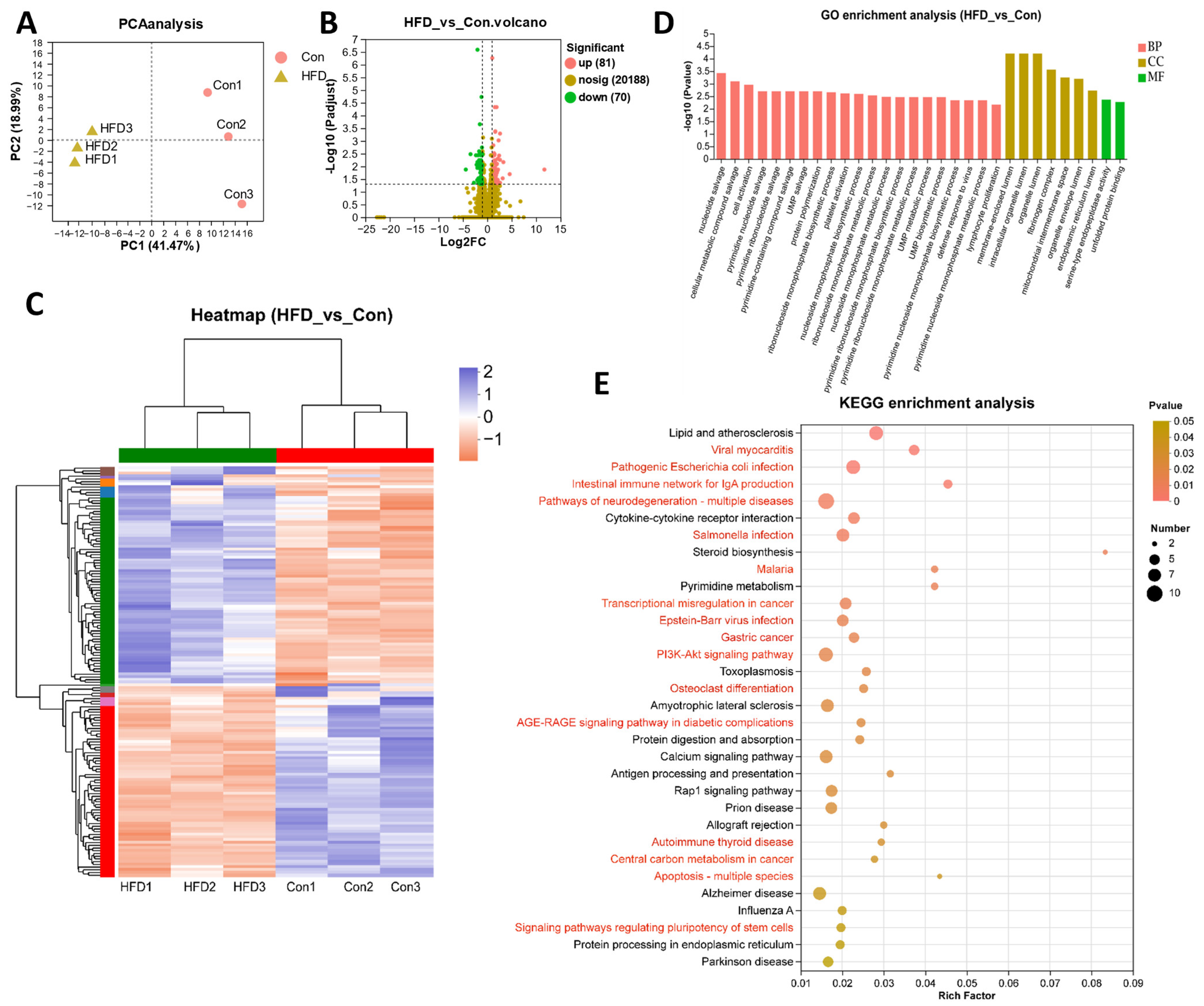 Antioxidants 13 00363 g003 Antioxidants 13 00363 g003