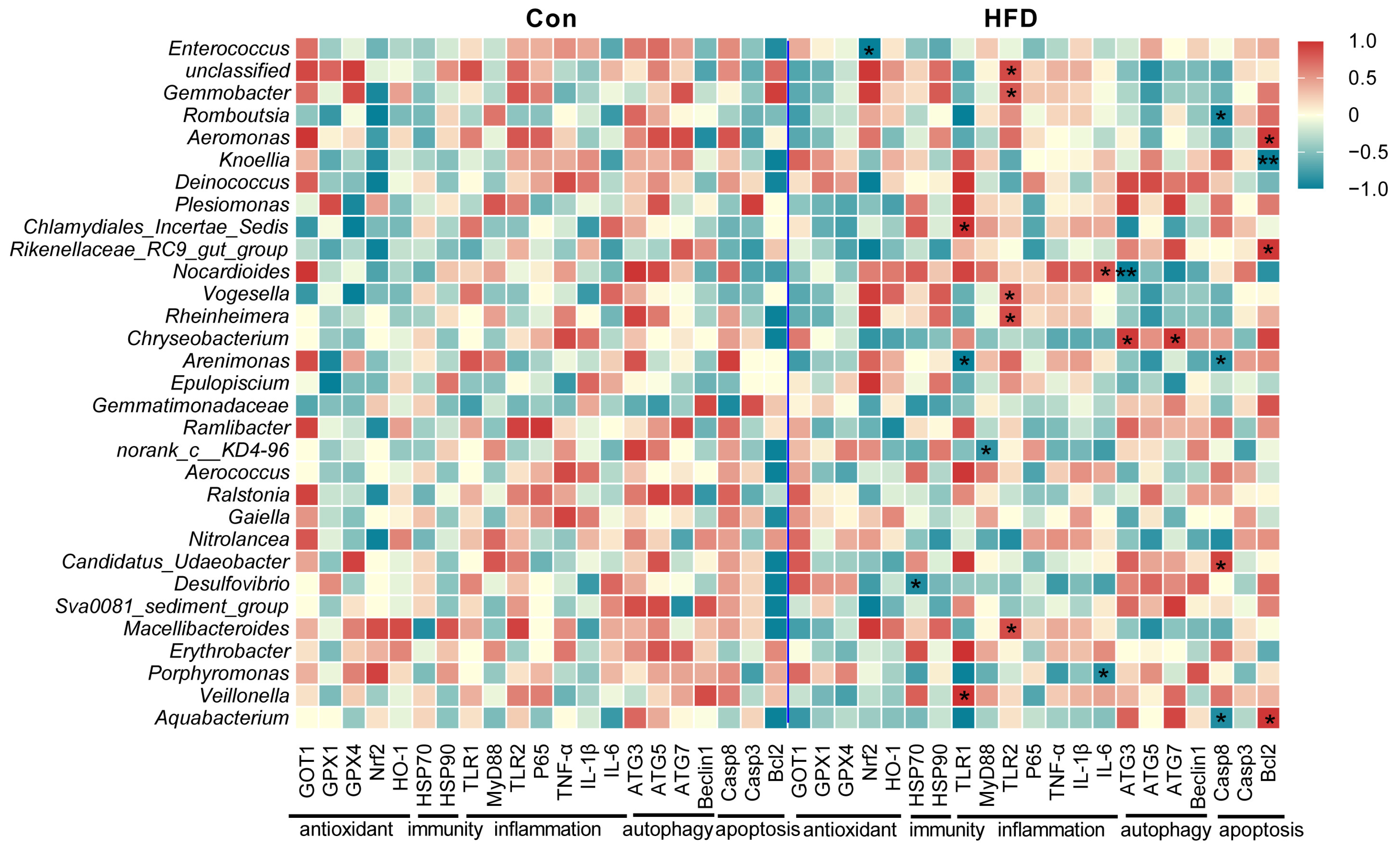 Antioxidants 13 00363 g007 Antioxidants 13 00363 g007