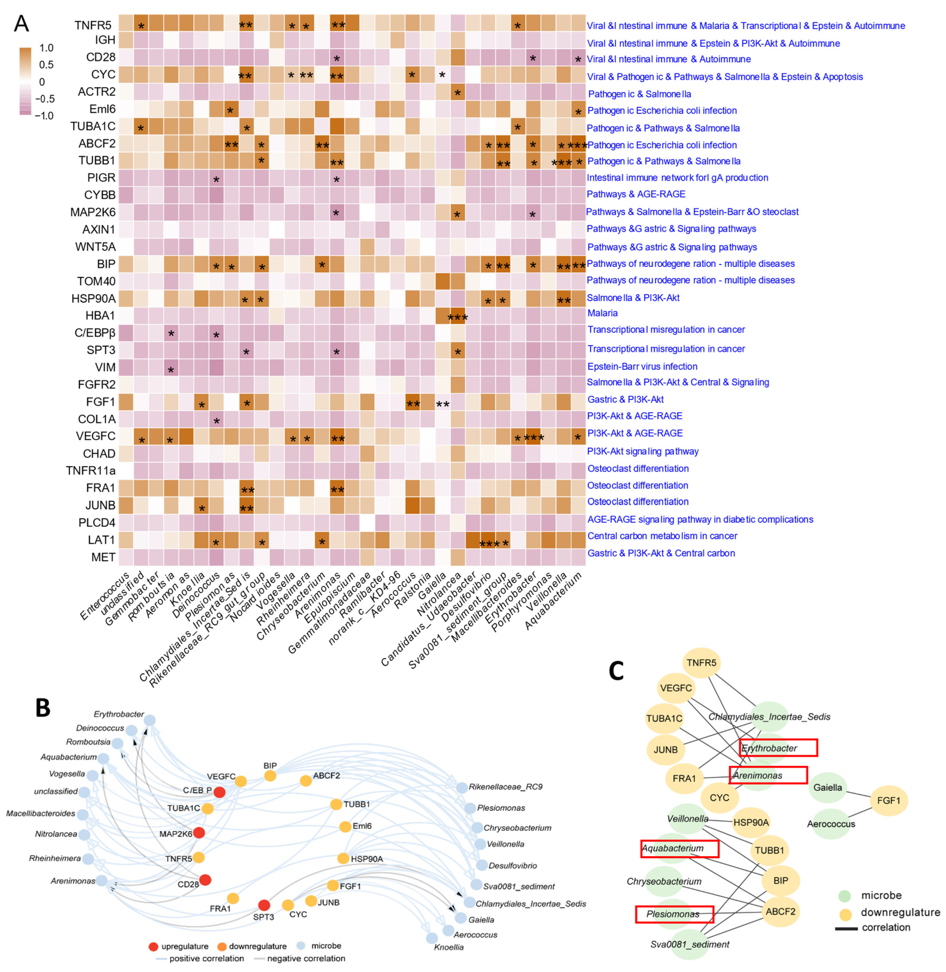 Antioxidants 13 00363 g008 Antioxidants 13 00363 g008