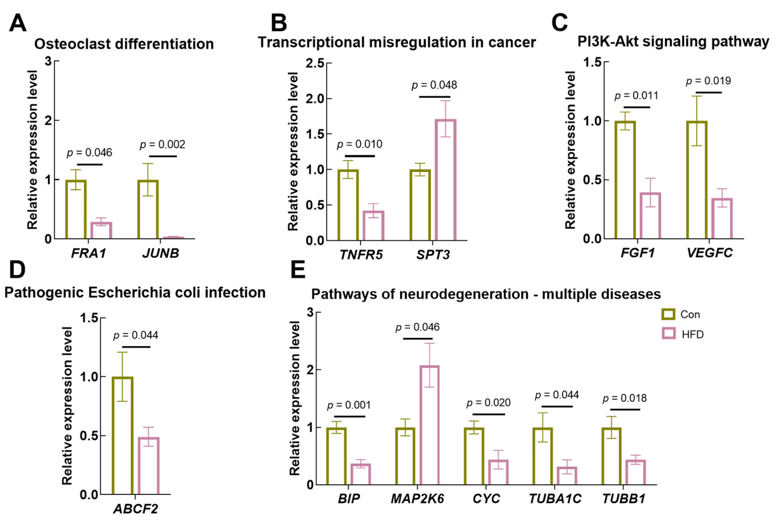 Antioxidants 13 00363 g009 Antioxidants 13 00363 g009