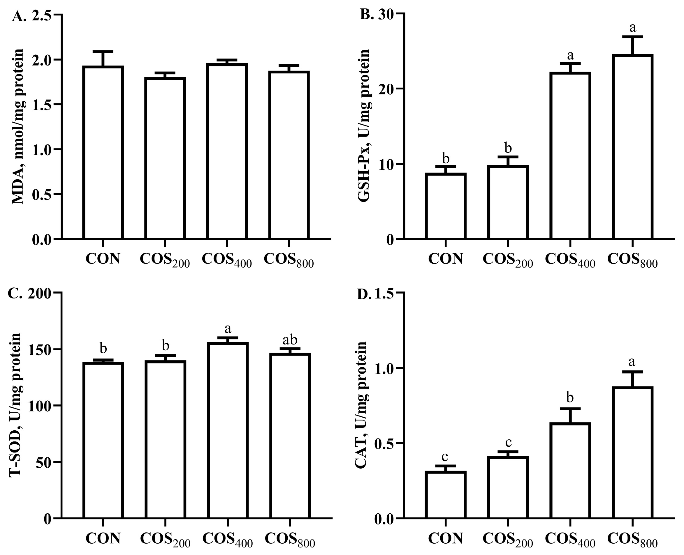 Antioxidants 13 00366 g004