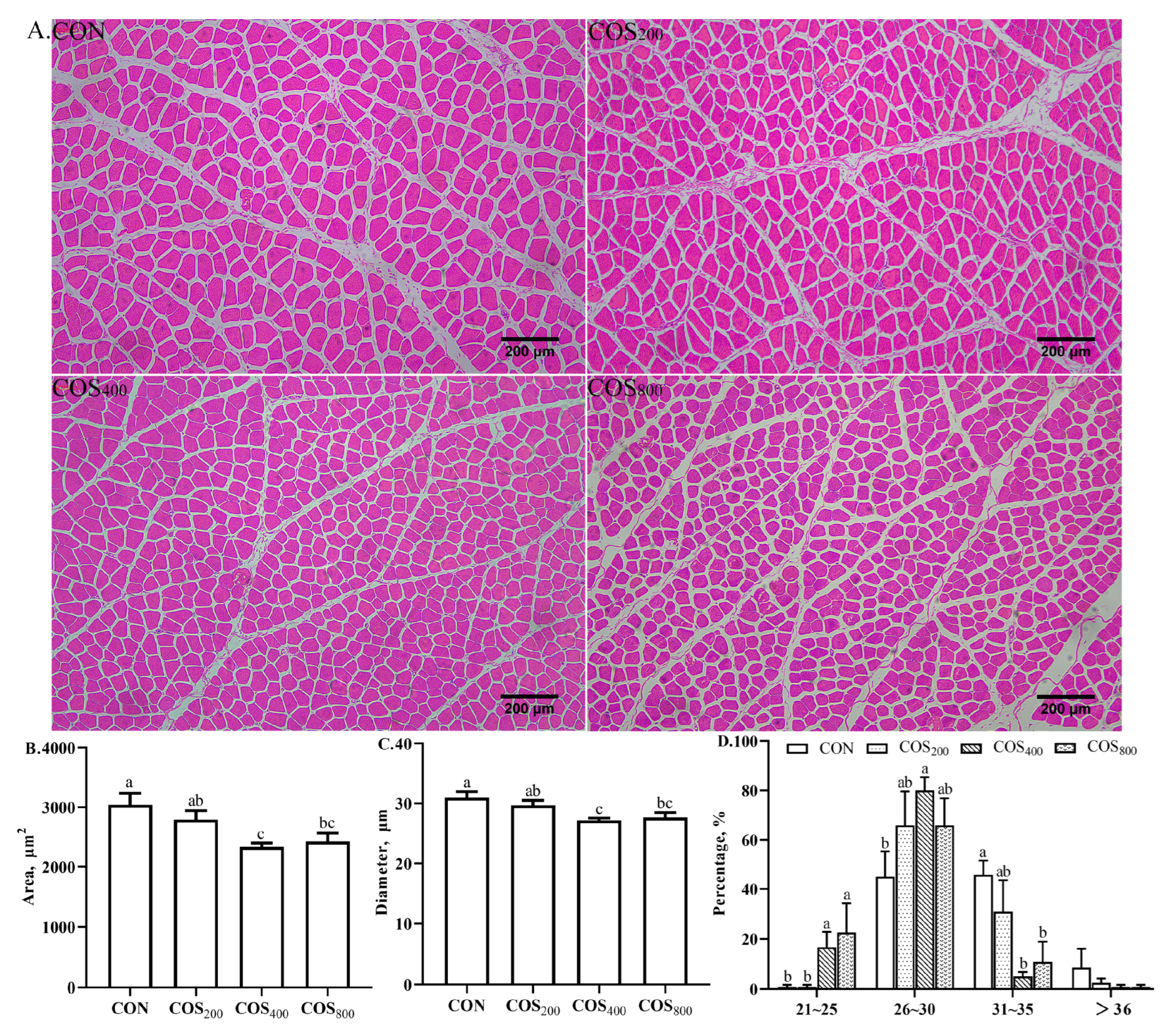 Antioxidants 13 00366 g006