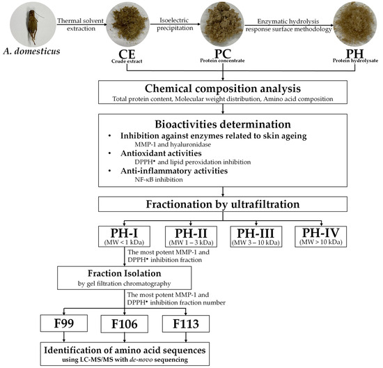 Optimization of Hydrolysis Conditions, Isolation, and 