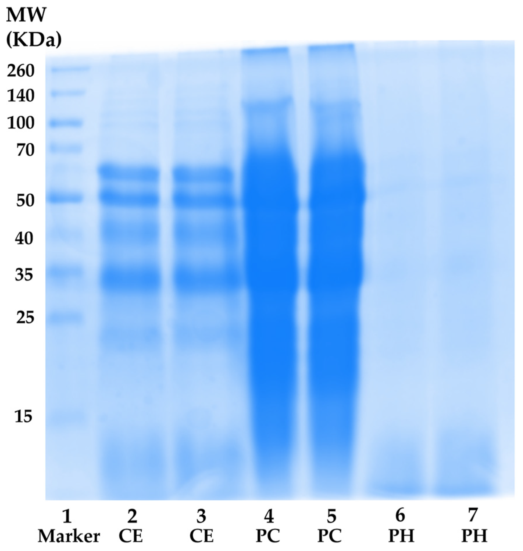 Antioxidants 13 00367 g003