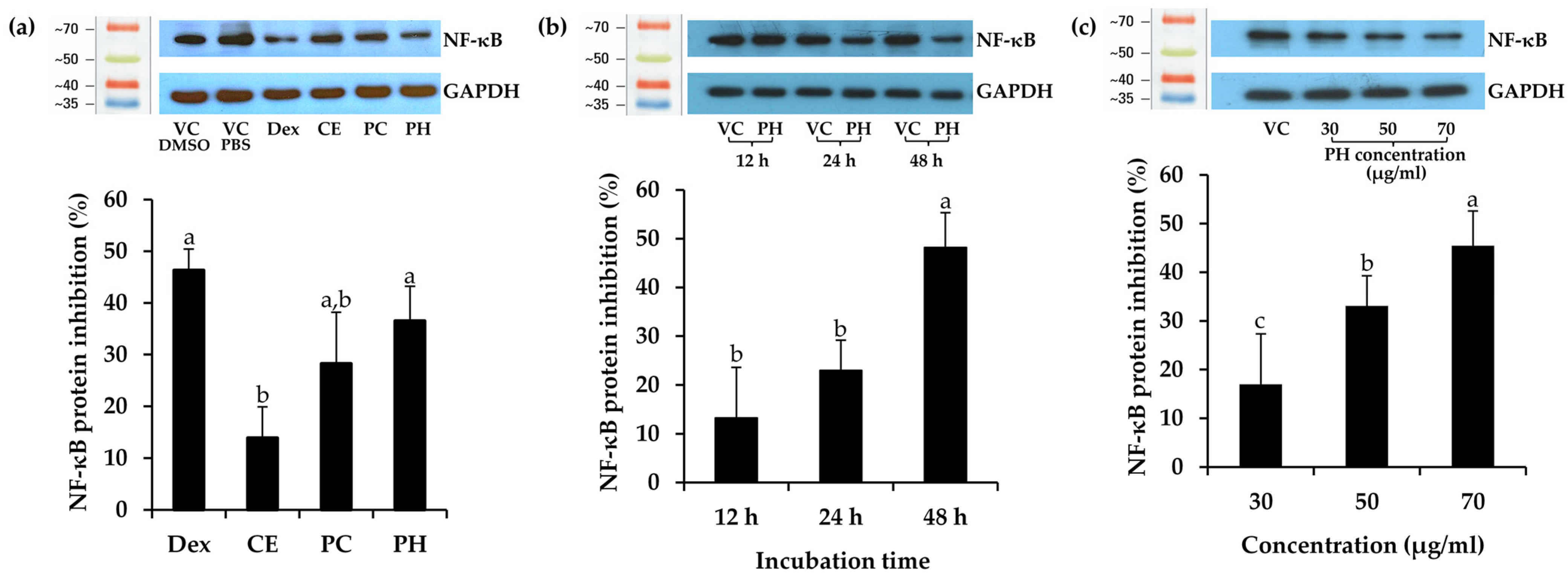 Antioxidants 13 00367 g005