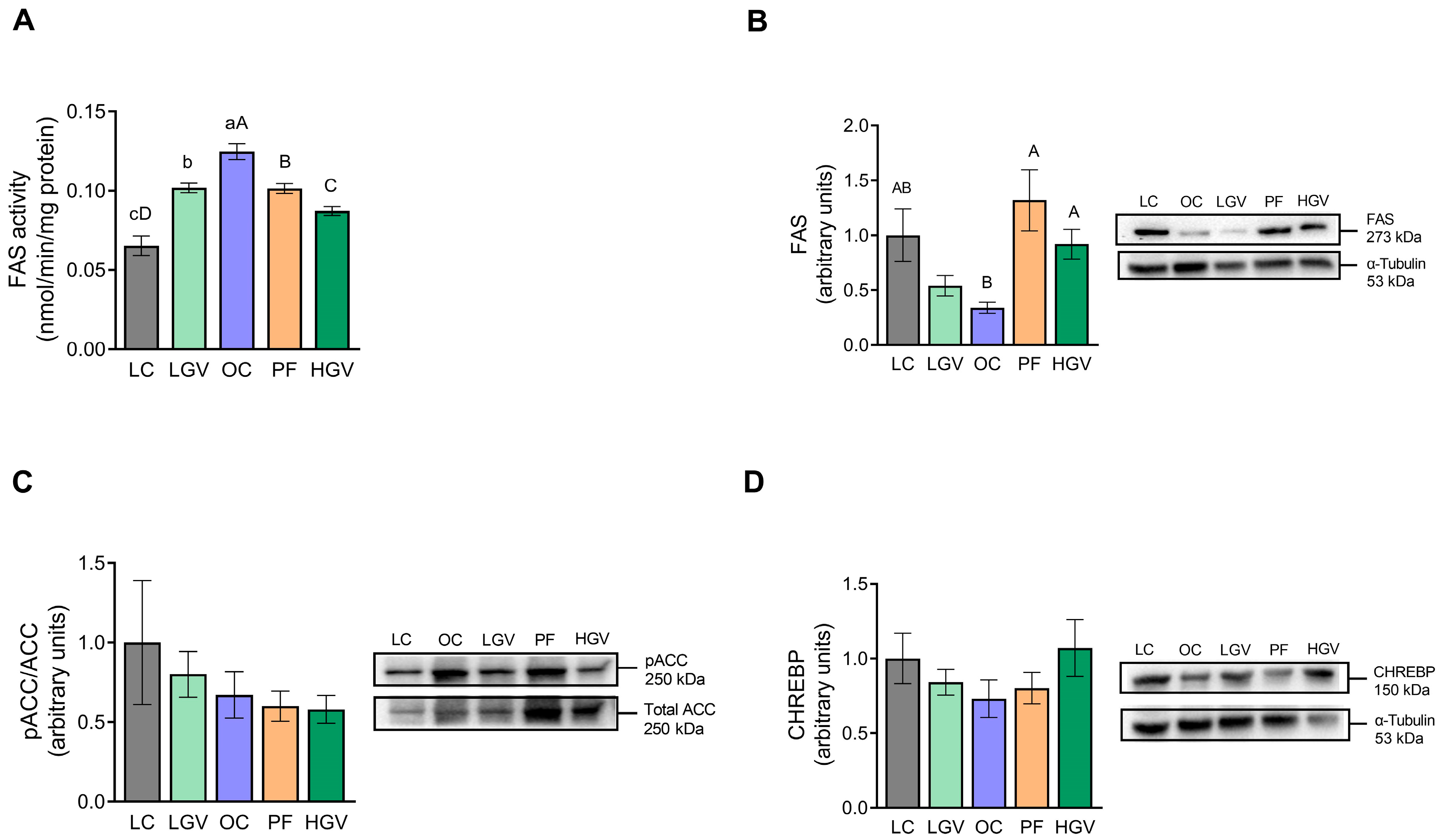 Antioxidants 13 00369 g004