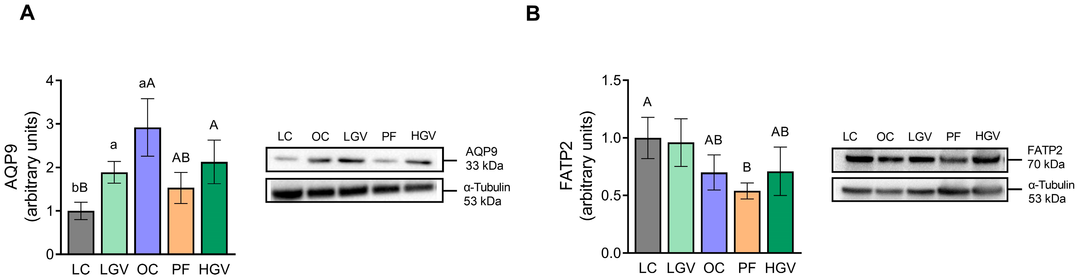 Antioxidants 13 00369 g005